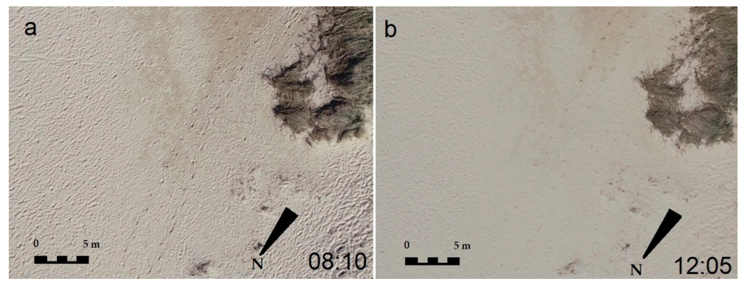 Jmse 09 00019 g003 Jmse 09 00019 g003