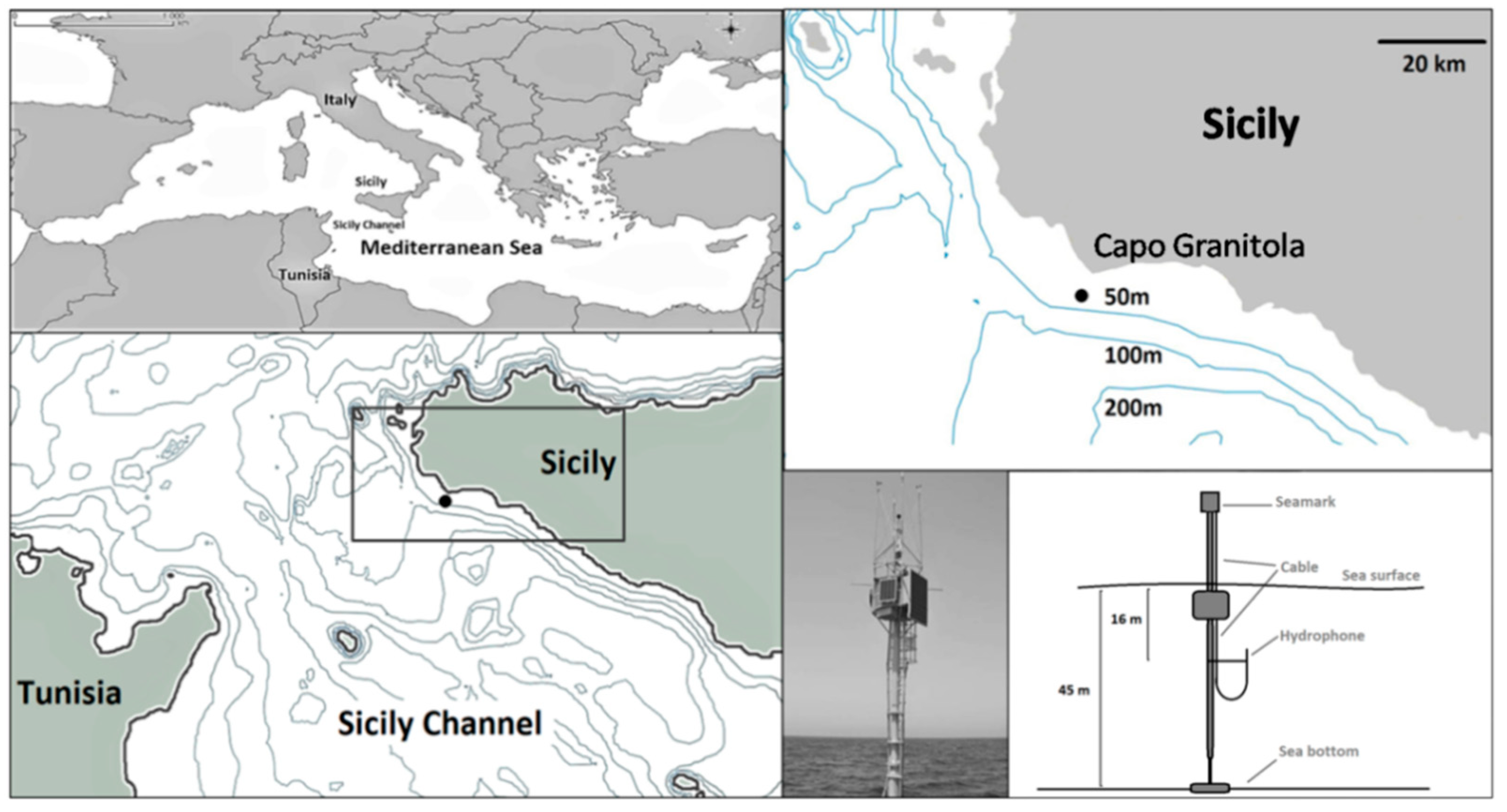 Soundscapes of the Mediterranean Sea Episode 1: Bioacoustics