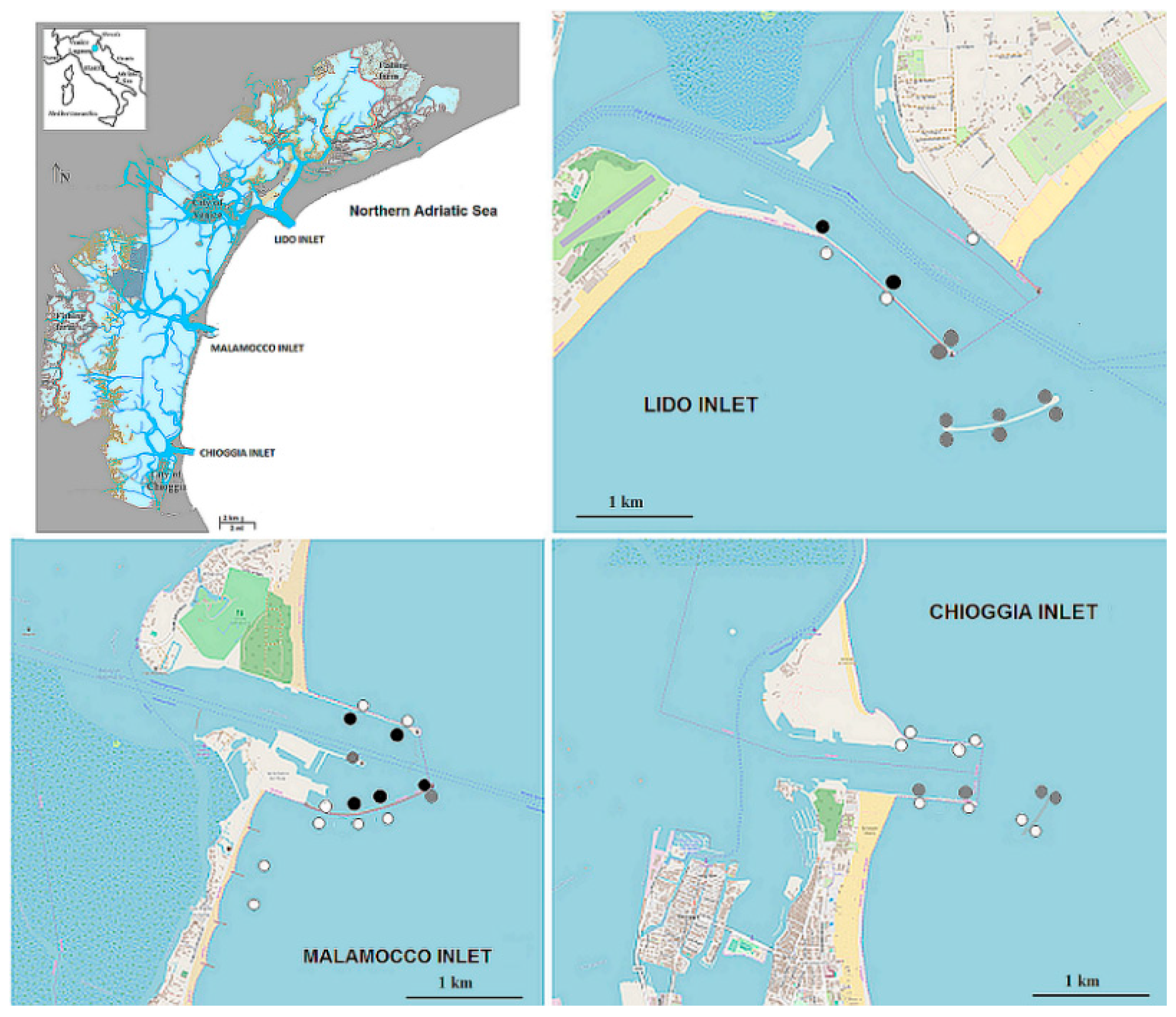 JMSE | Free Full-Text | It Is Not Just a Matter of Noise: Sciaena umbra  Vocalizes More in the Busiest Areas of the Venice Tidal Inlets | HTML
