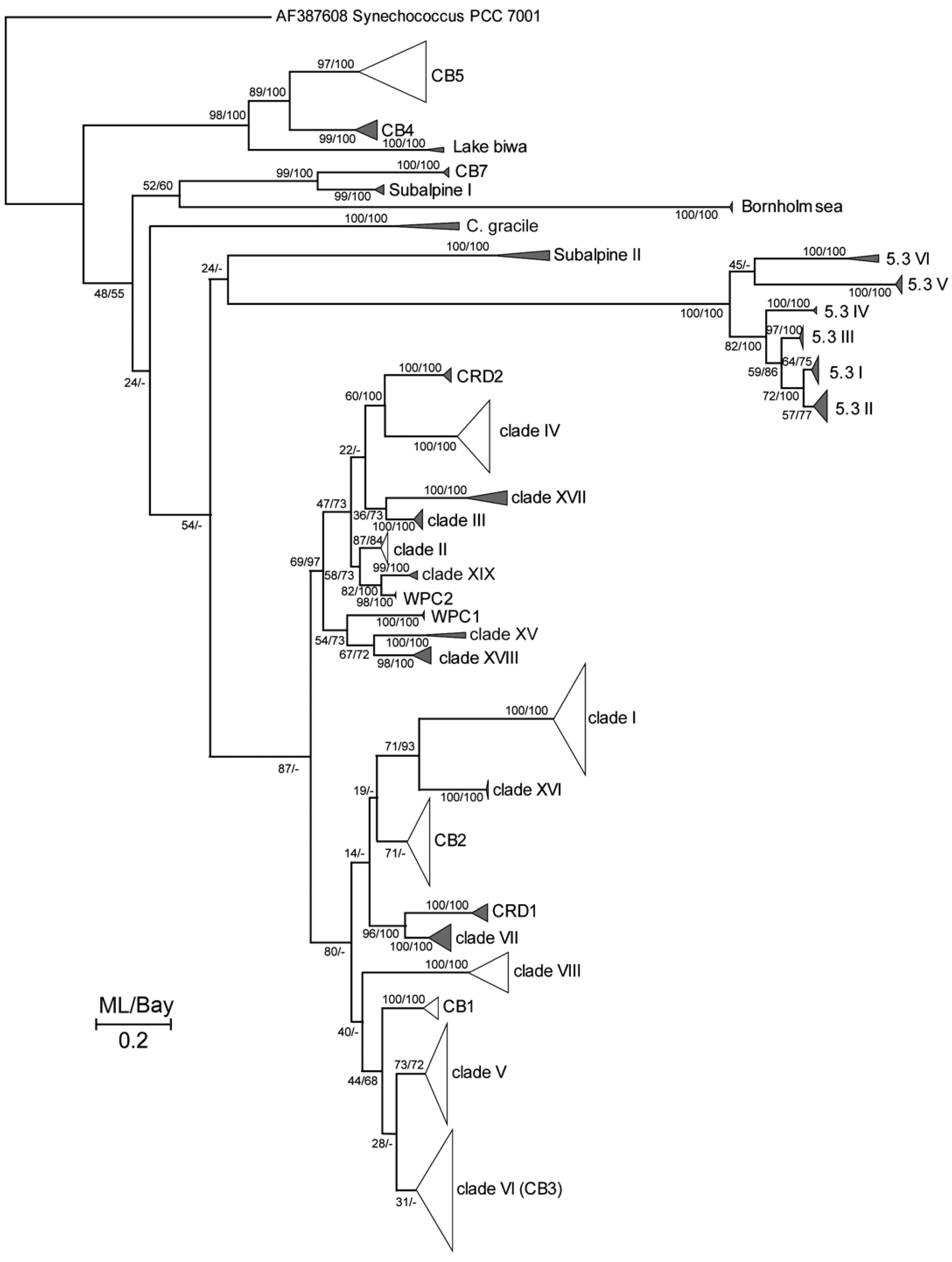 Jmse 09 00549 g005 Jmse 09 00549 g005