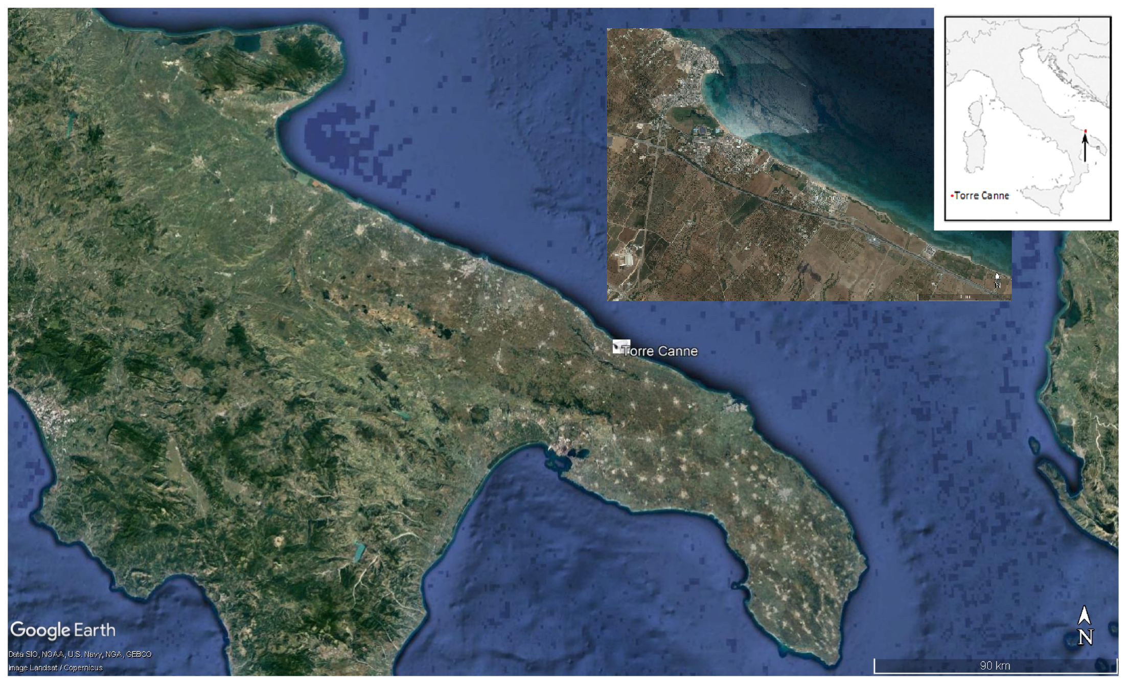 JMSE | Free Full-Text | Remote Sensing-Based Automatic Detection of  Shoreline Position: A Case Study in Apulia Region | HTML