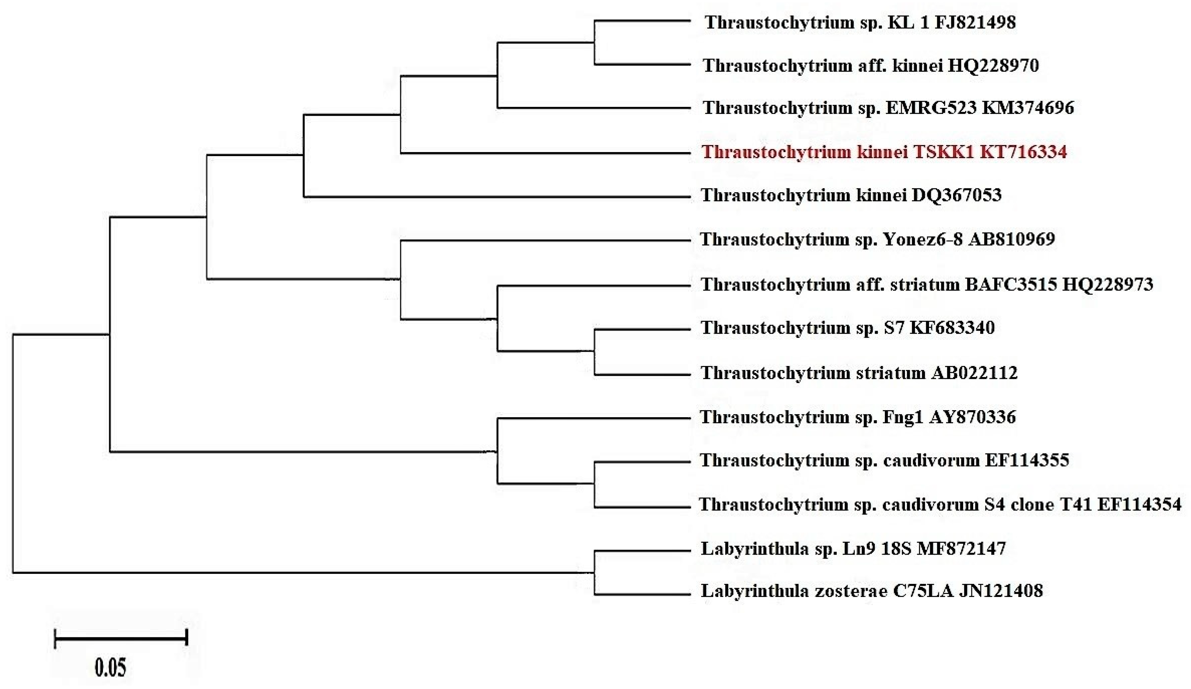 Jmse 09 00678 g002 Jmse 09 00678 g002