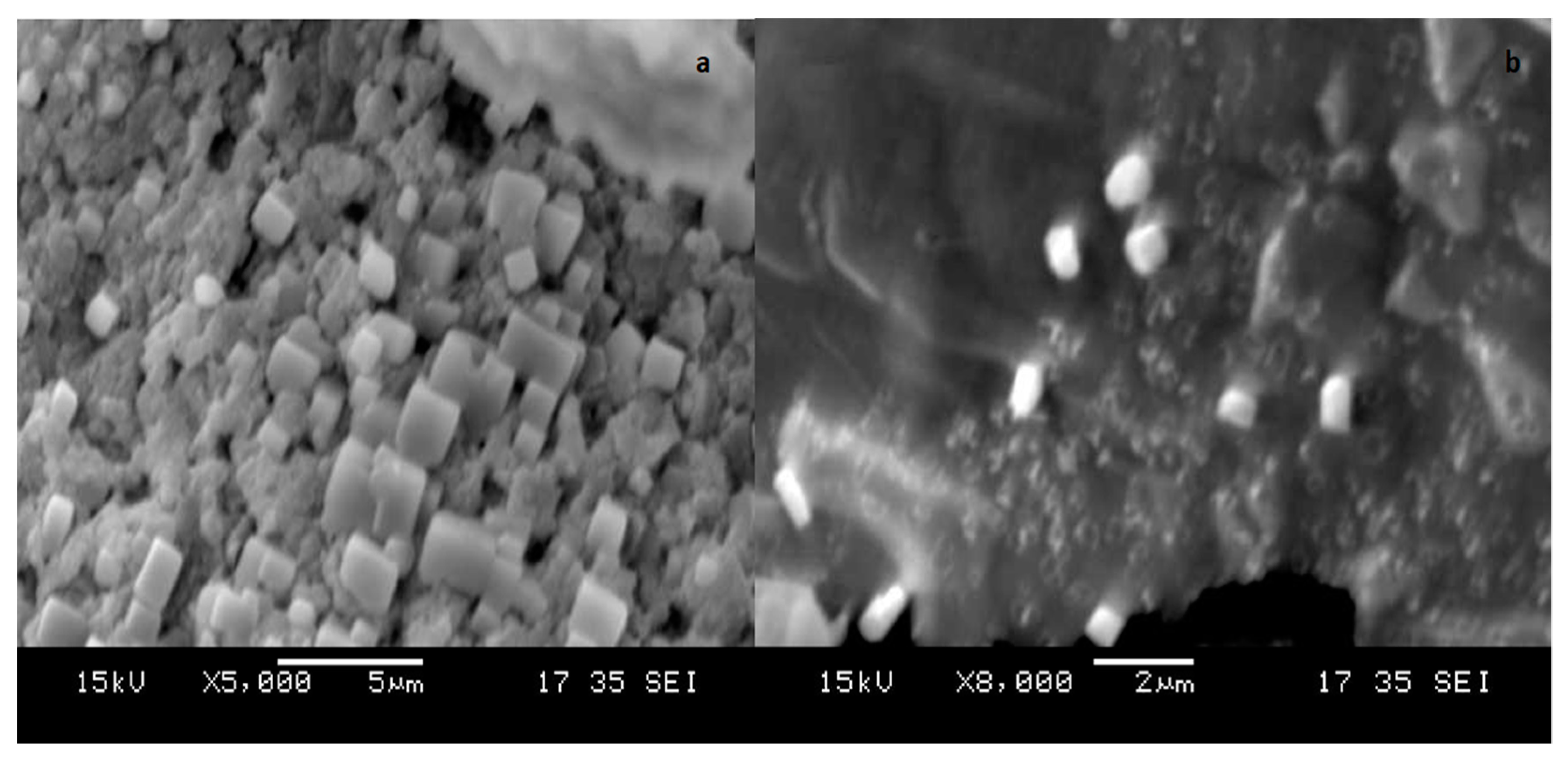 Jmse 09 00678 g007 Jmse 09 00678 g007