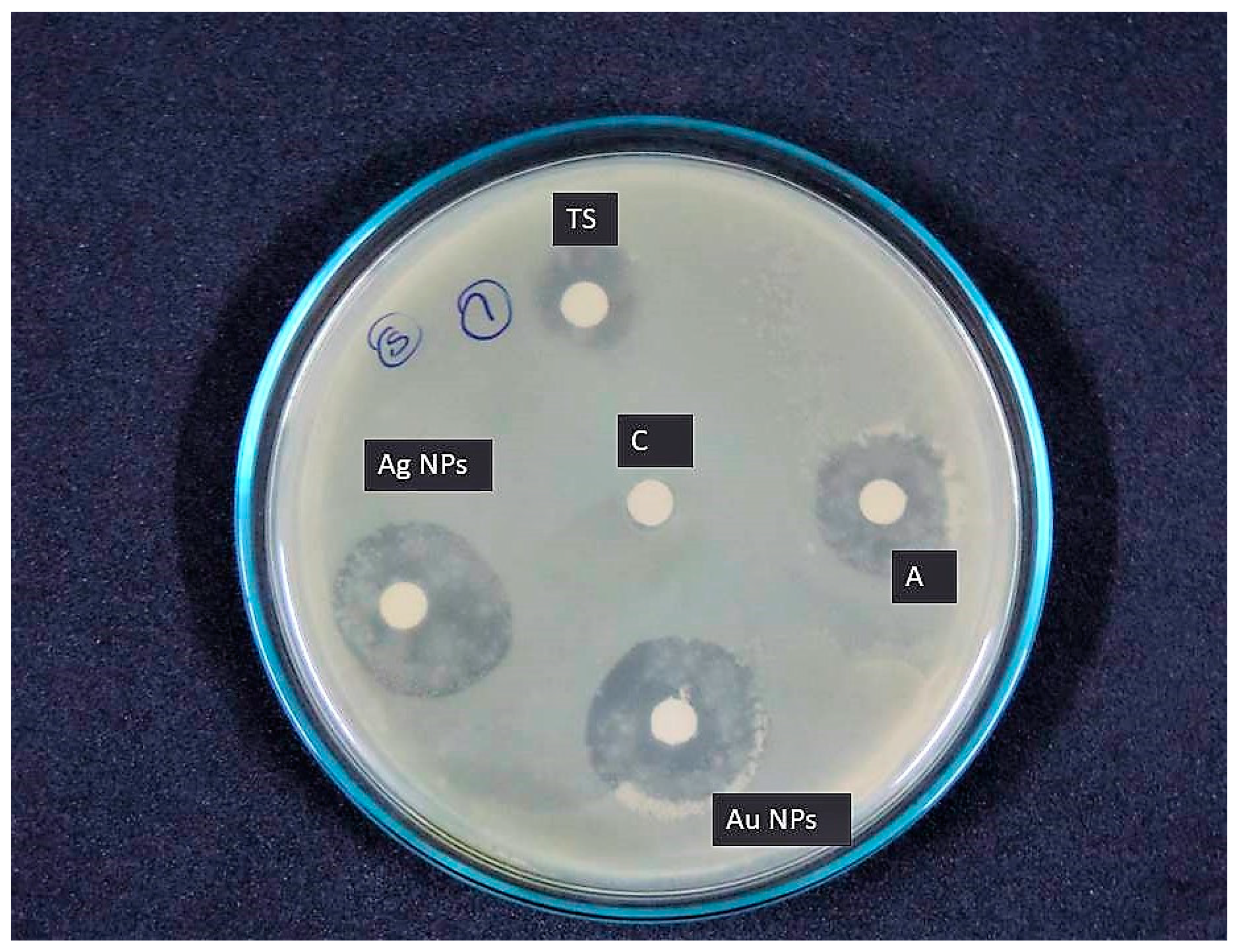 Jmse 09 00678 g010 Jmse 09 00678 g010