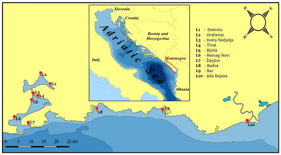 Jmse | Free Full-Text | Microplastics In Surface Sediments Along The  Montenegrin Coast, Adriatic Sea: Types, Occurrence, And Distribution | Html