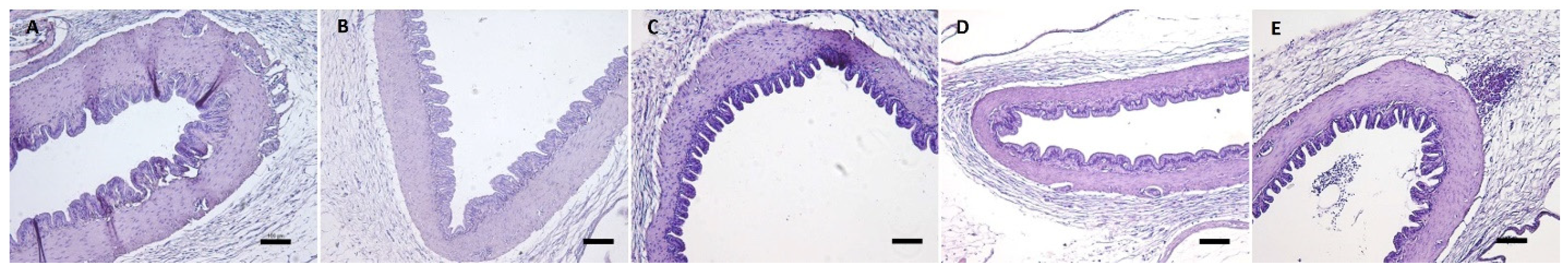 Jmse 09 01114 g011