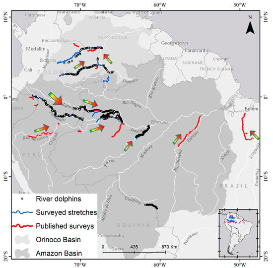 JMSE | Free Full-Text | Density and Abundance Estimation of Amazonian River  Dolphins: Understanding Population Size Variability