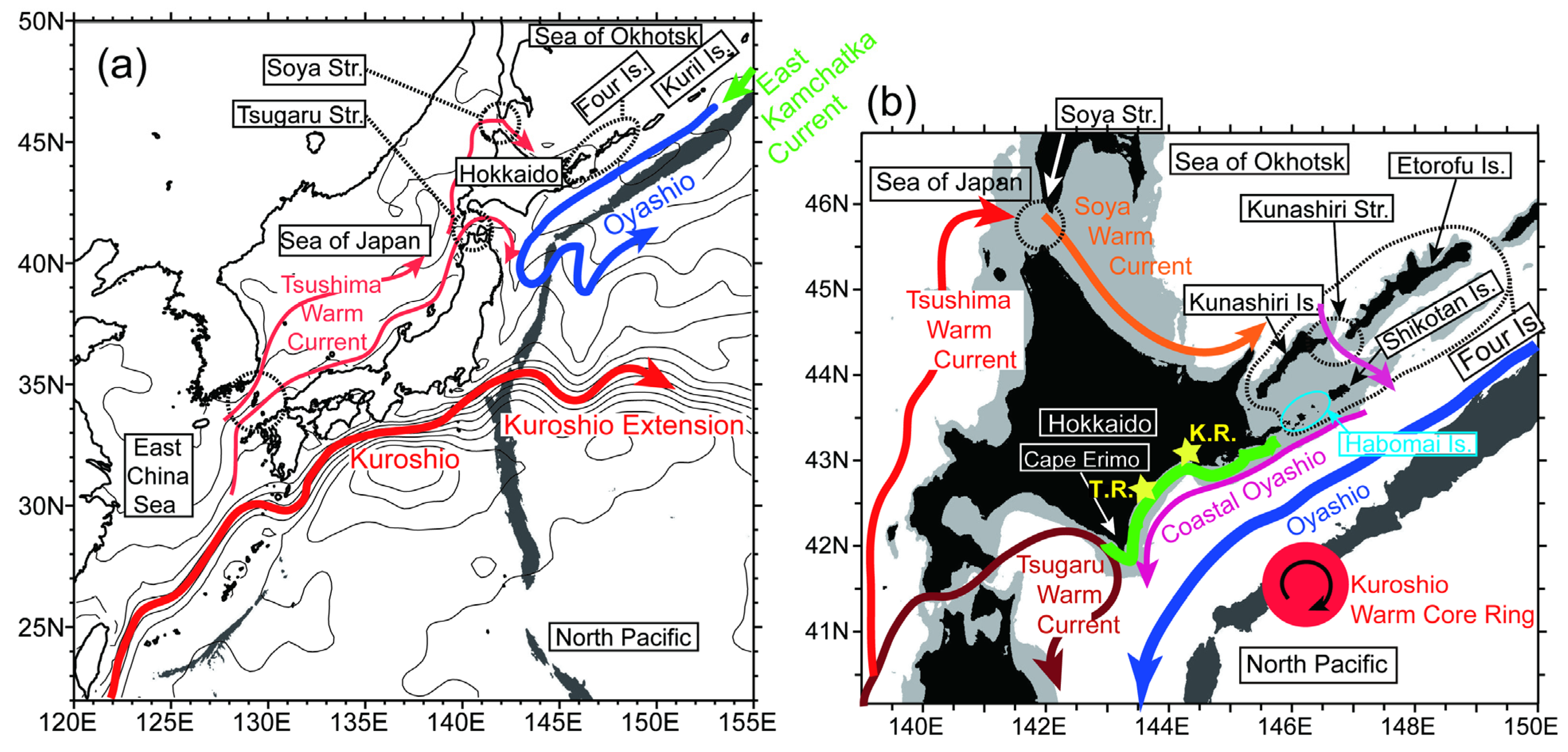 Jmse Free Full Text Unprecedented Outbreak Of Harmful Algae In Pacific Coastal Waters Off Southeast Hokkaido Japan During Late Summer 21 After Record Breaking Marine Heatwaves Html