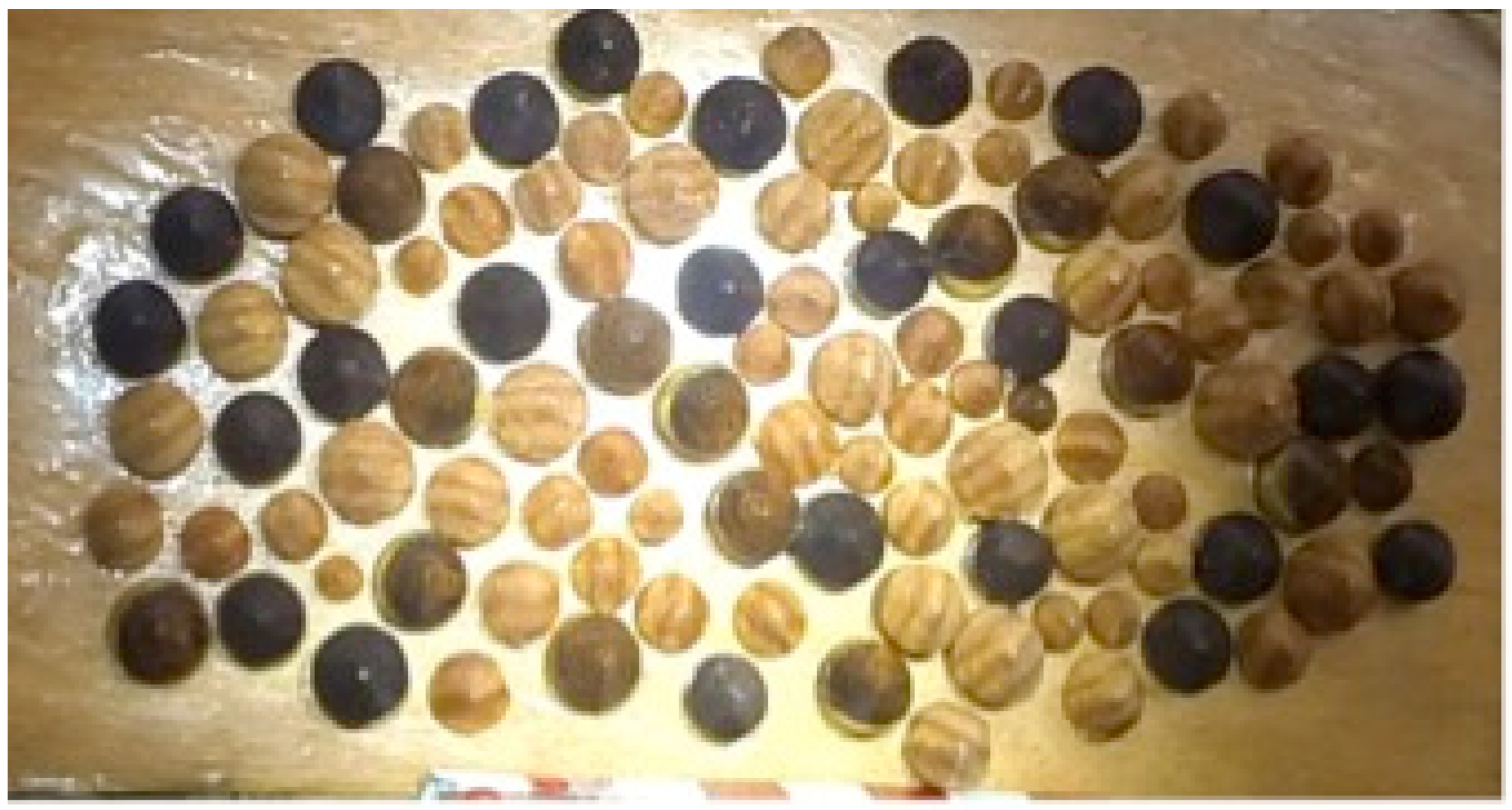 Jmse 09 01344 g003 Jmse 09 01344 g003