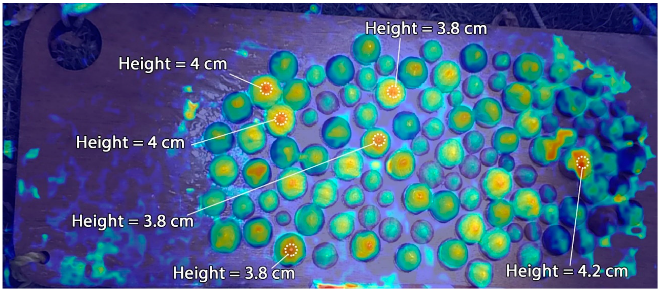Jmse 09 01344 g010 Jmse 09 01344 g010