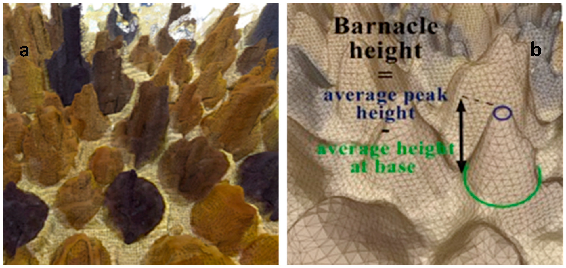 Jmse 09 01344 g013 Jmse 09 01344 g013