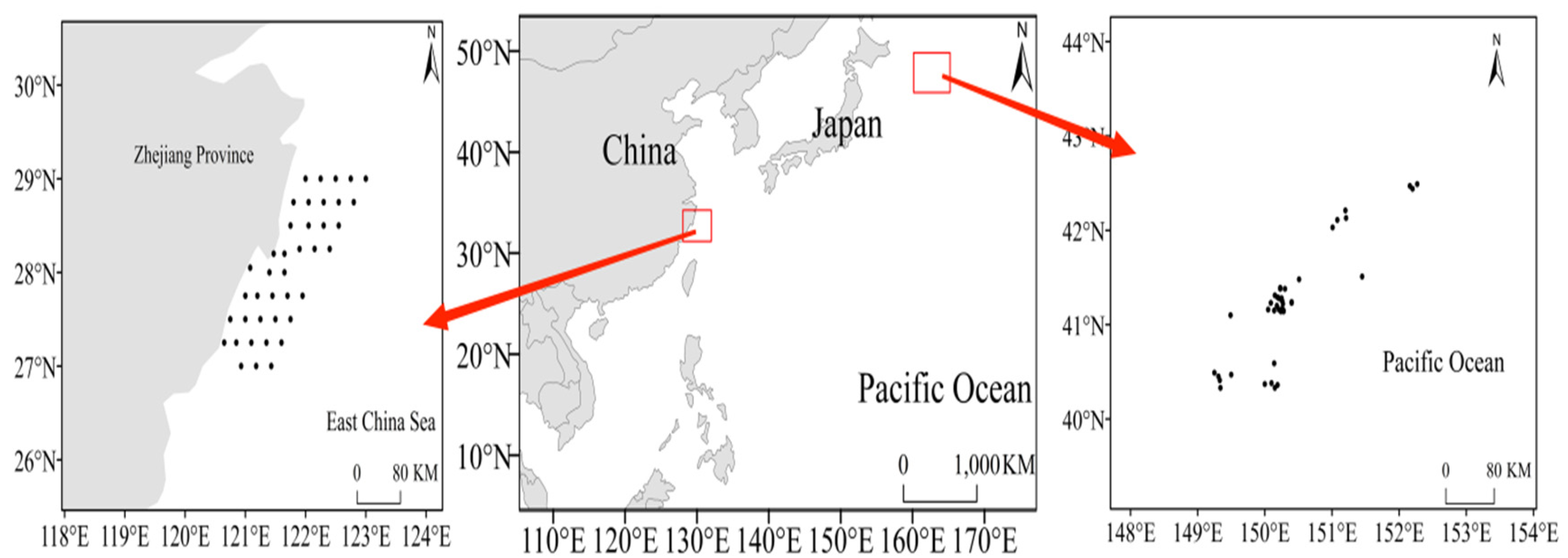 JMSE | Free Full-Text | Growth Heterogeneity of Chub Mackerel