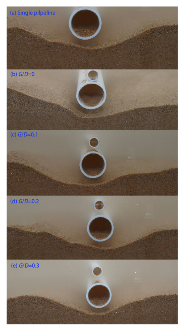 The configuration of piggyback pipeline and its local scour.