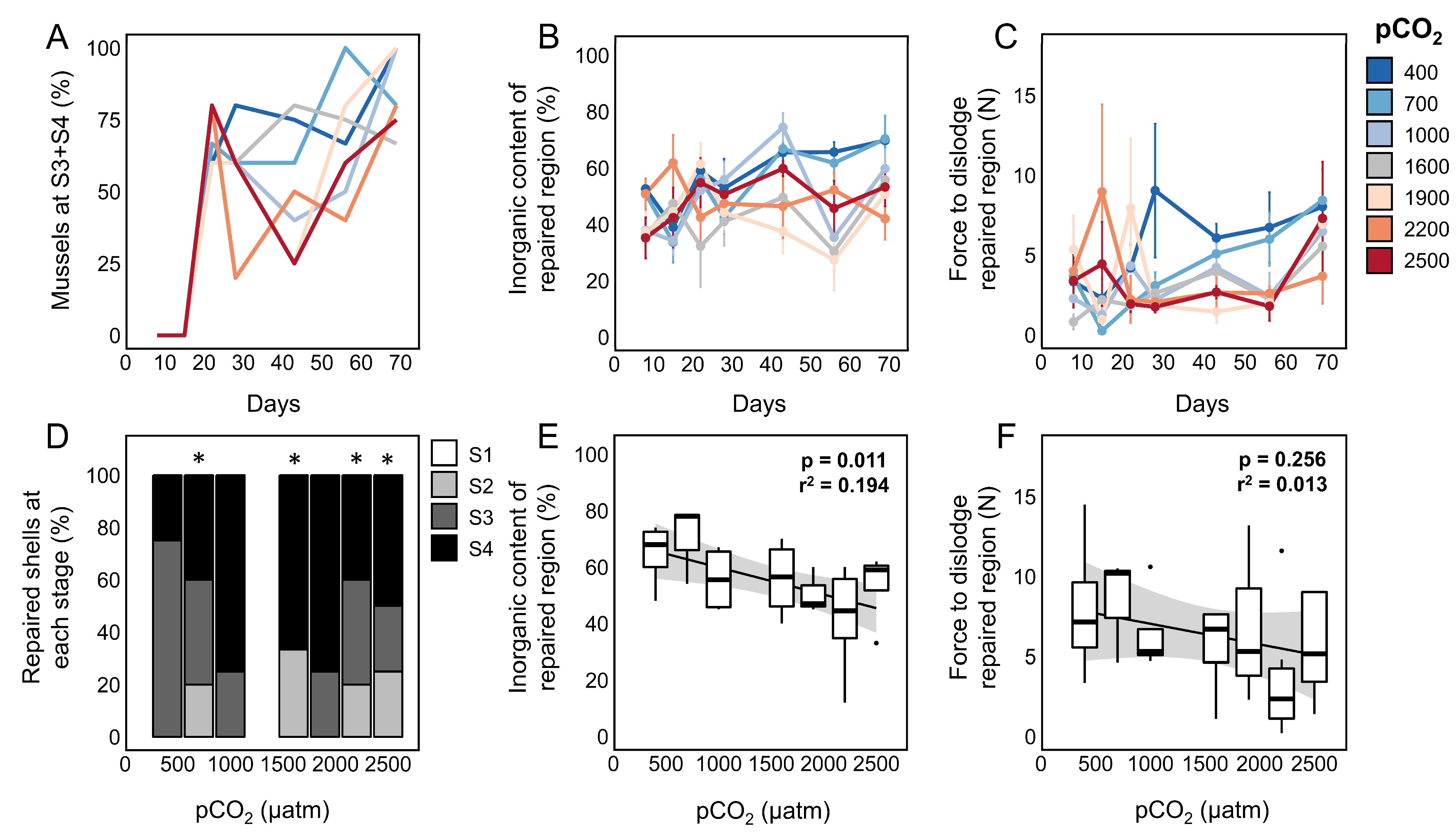 Jmse Free Full Text Mussels Repair Shell Damage Despite Limitations Imposed By Ocean Acidification Html