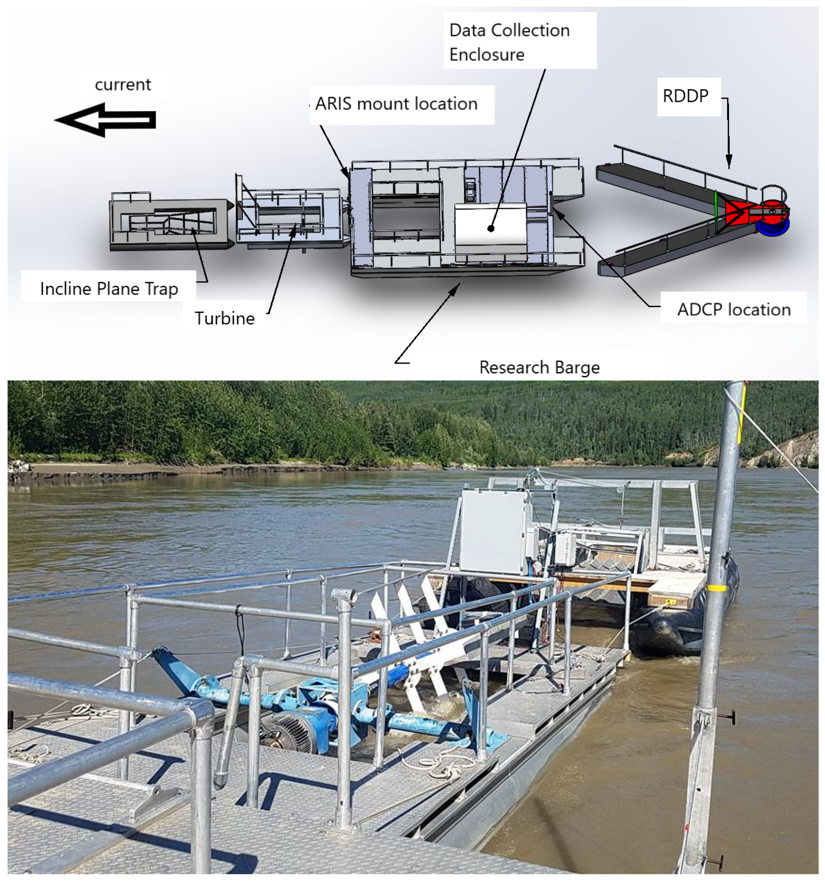 Locating fish bomb blasts in real-time using a networked acoustic system -  ScienceDirect