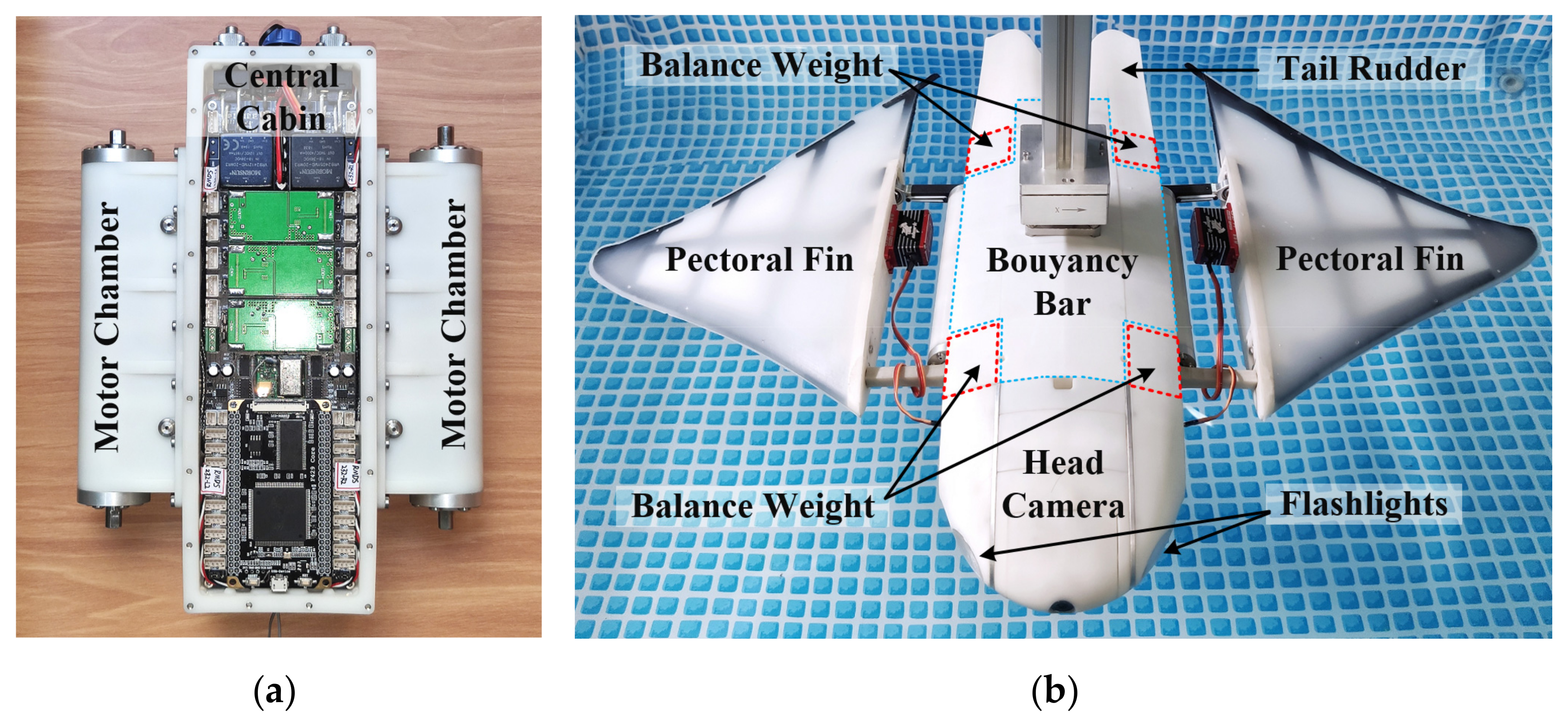 Well-tried methods alongside new technologies - Eurofish