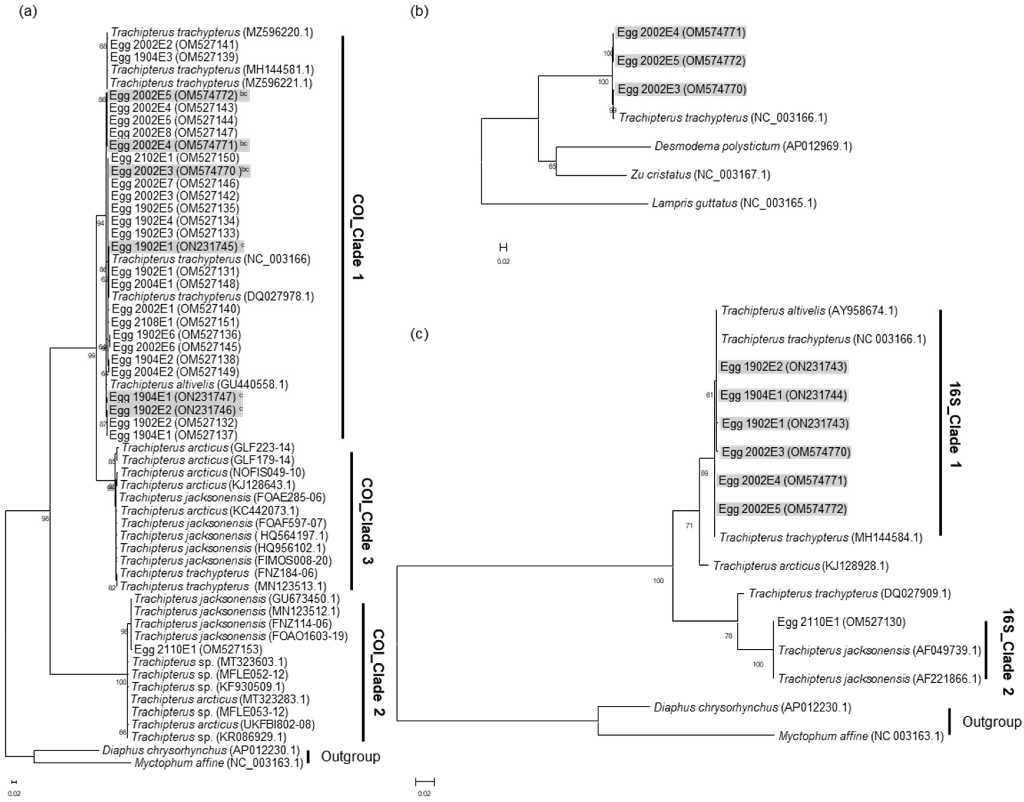 Jmse 10 00637 g002 Jmse 10 00637 g002