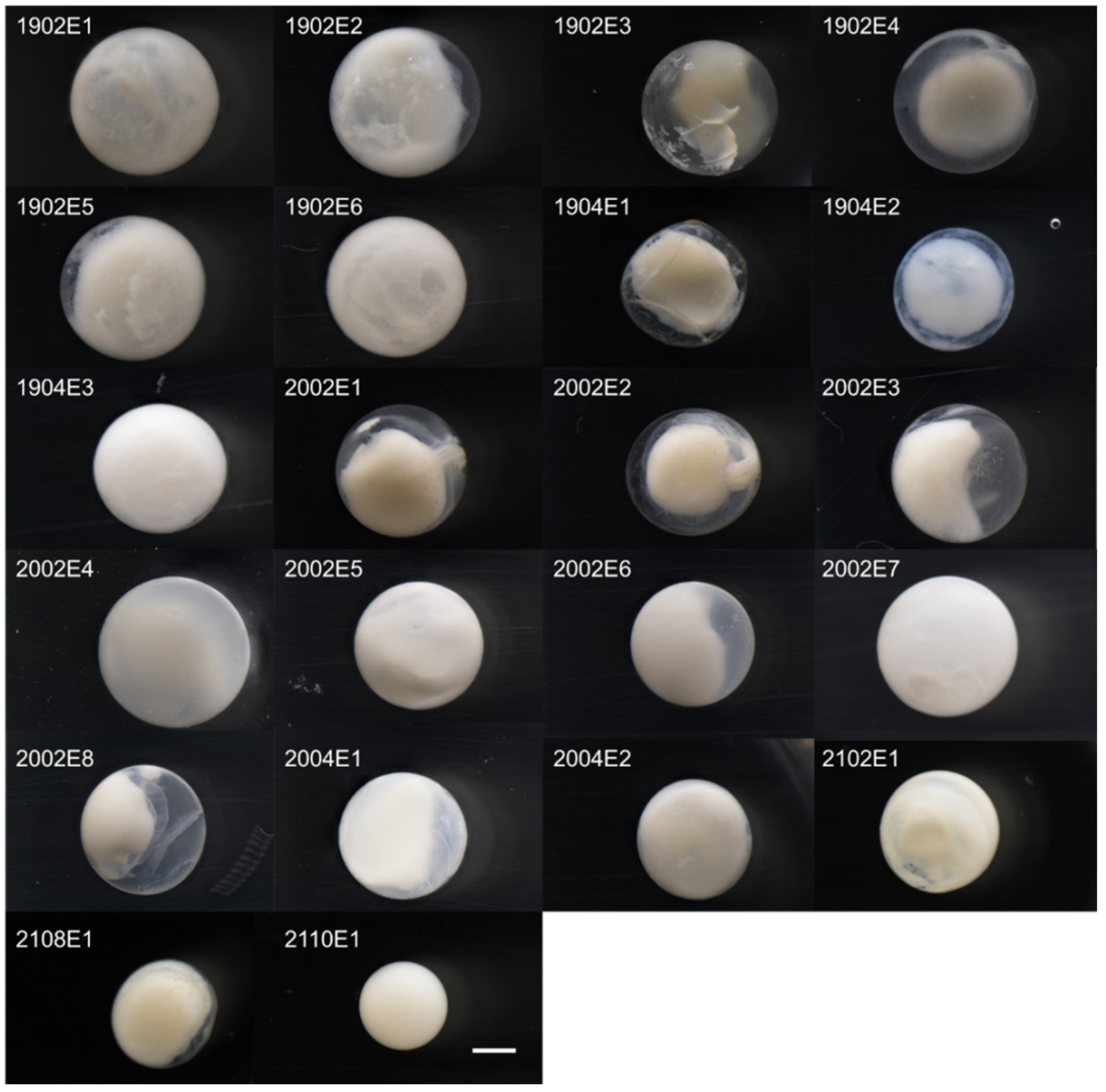 Jmse 10 00637 g003 Jmse 10 00637 g003