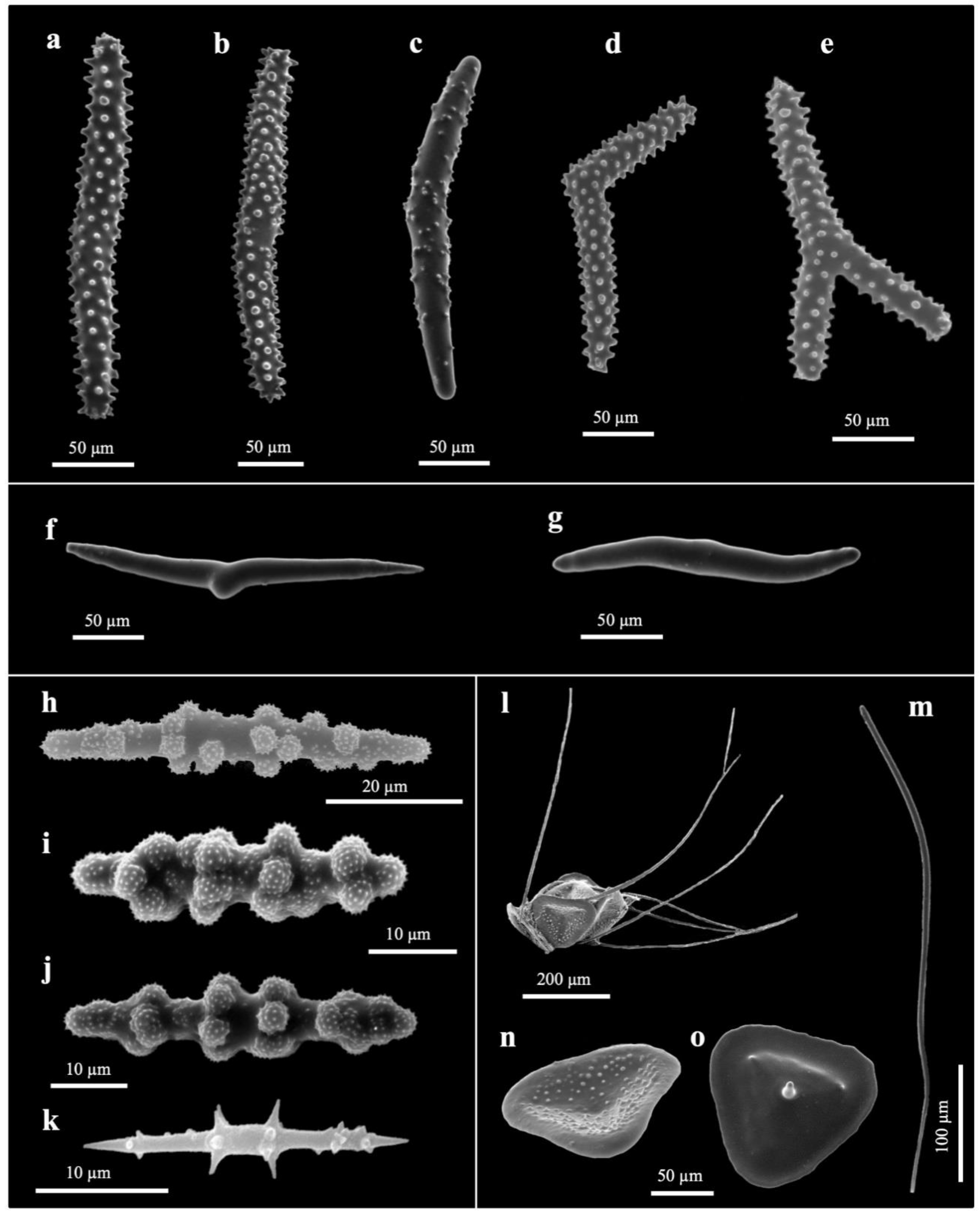 Jmse 10 00868 g002 Jmse 10 00868 g002