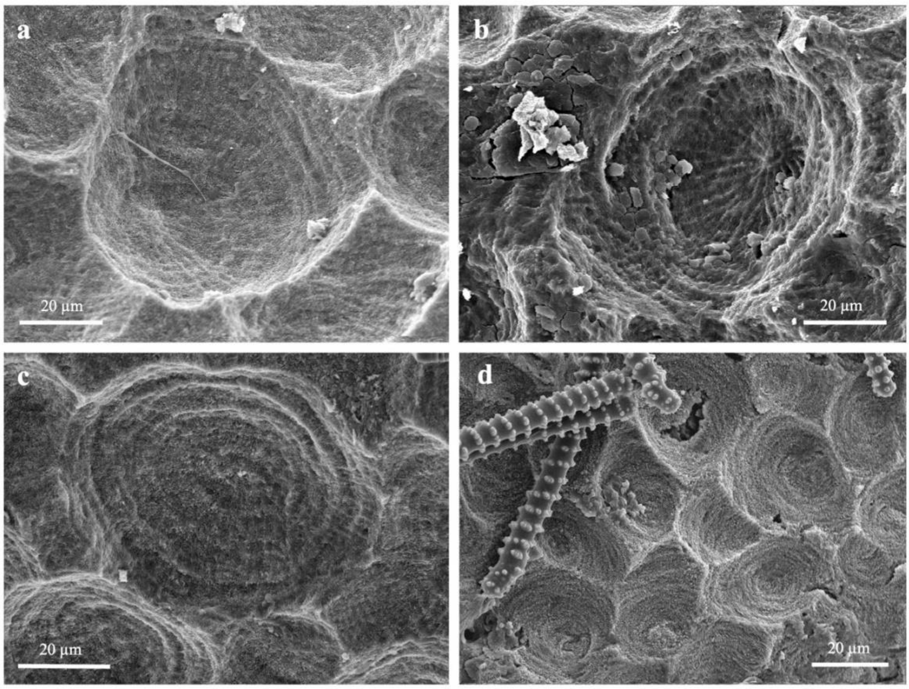 Jmse 10 00868 g003 Jmse 10 00868 g003