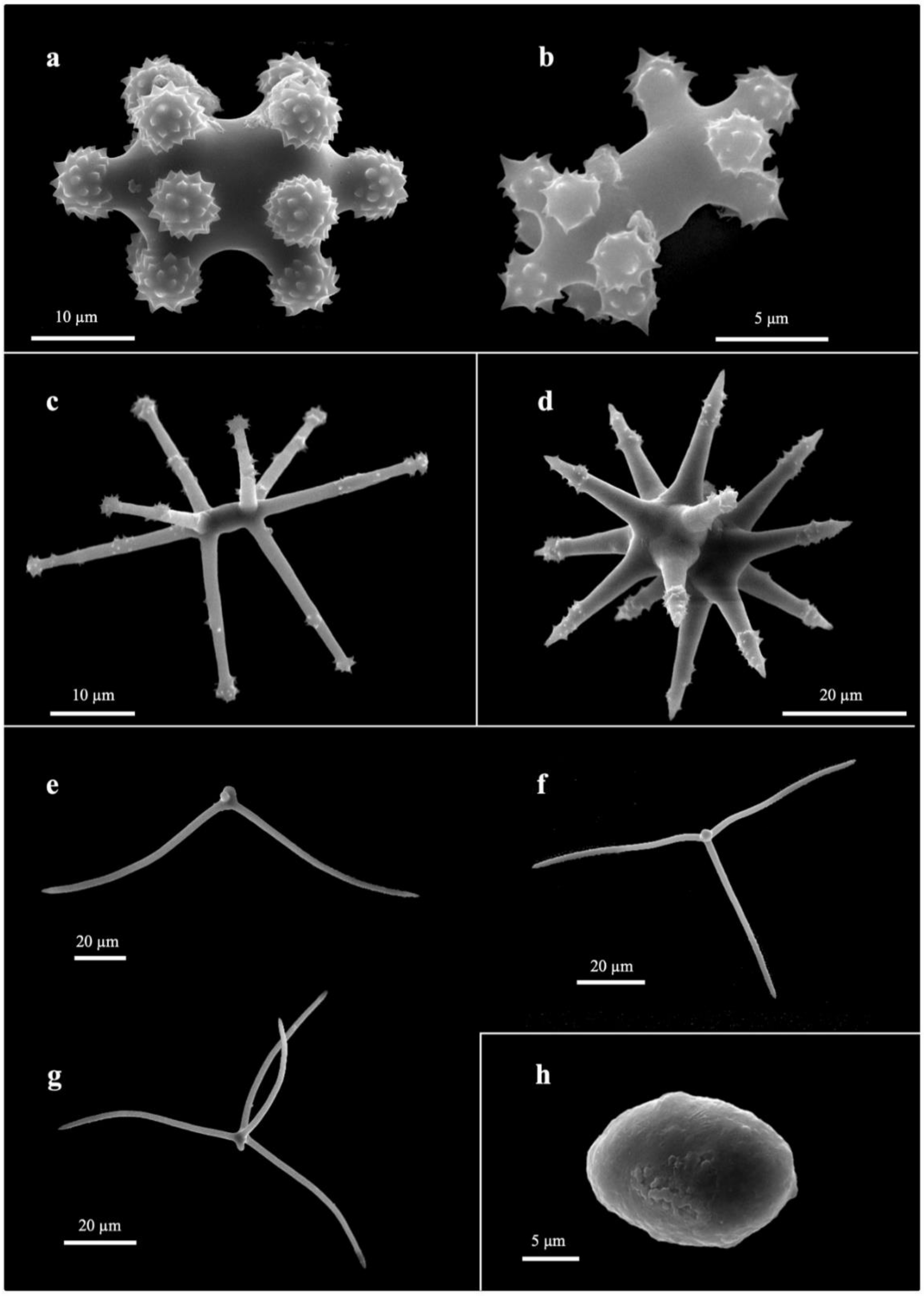 Jmse 10 00868 g007 Jmse 10 00868 g007