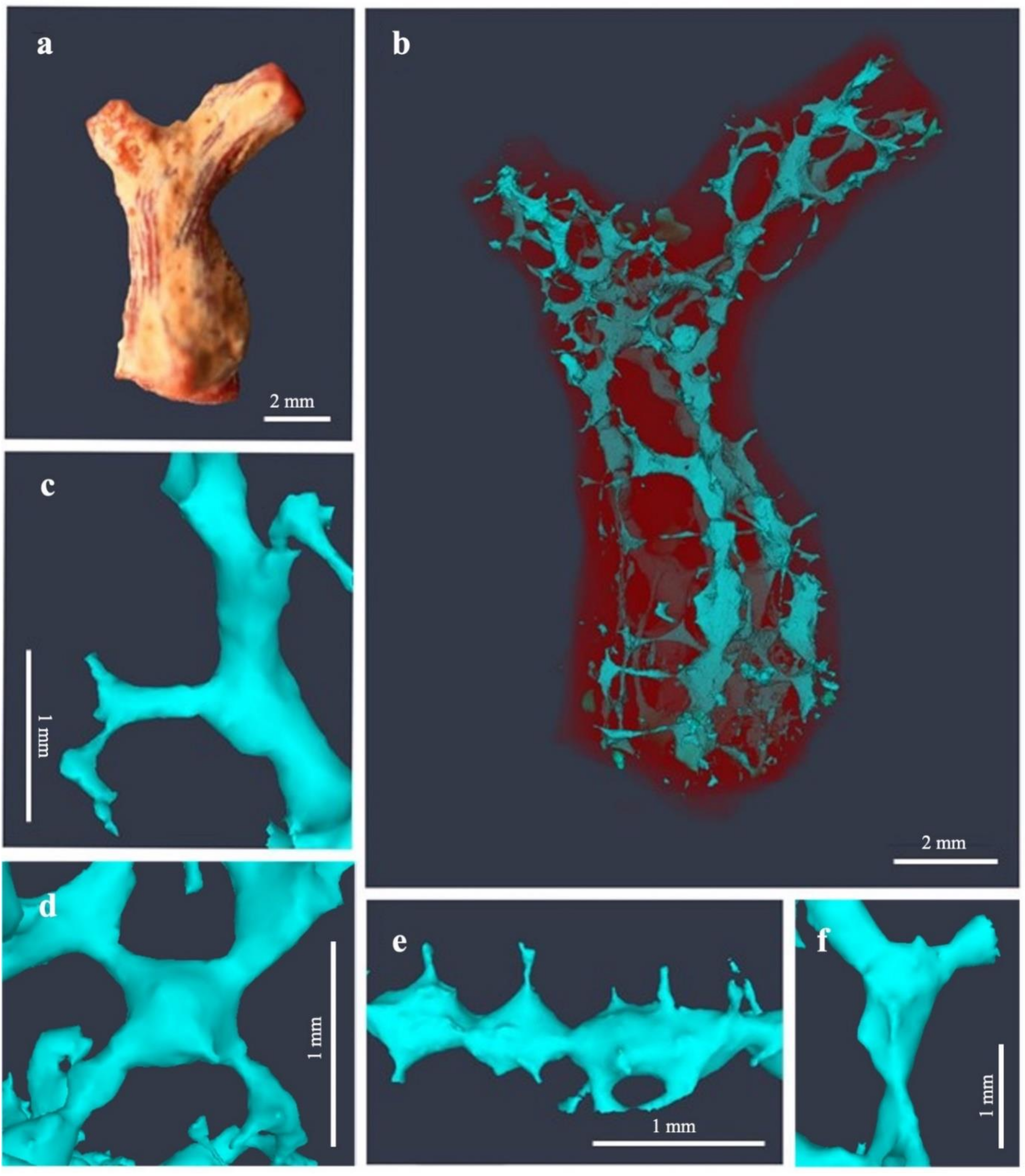 Jmse 10 00868 g008 Jmse 10 00868 g008