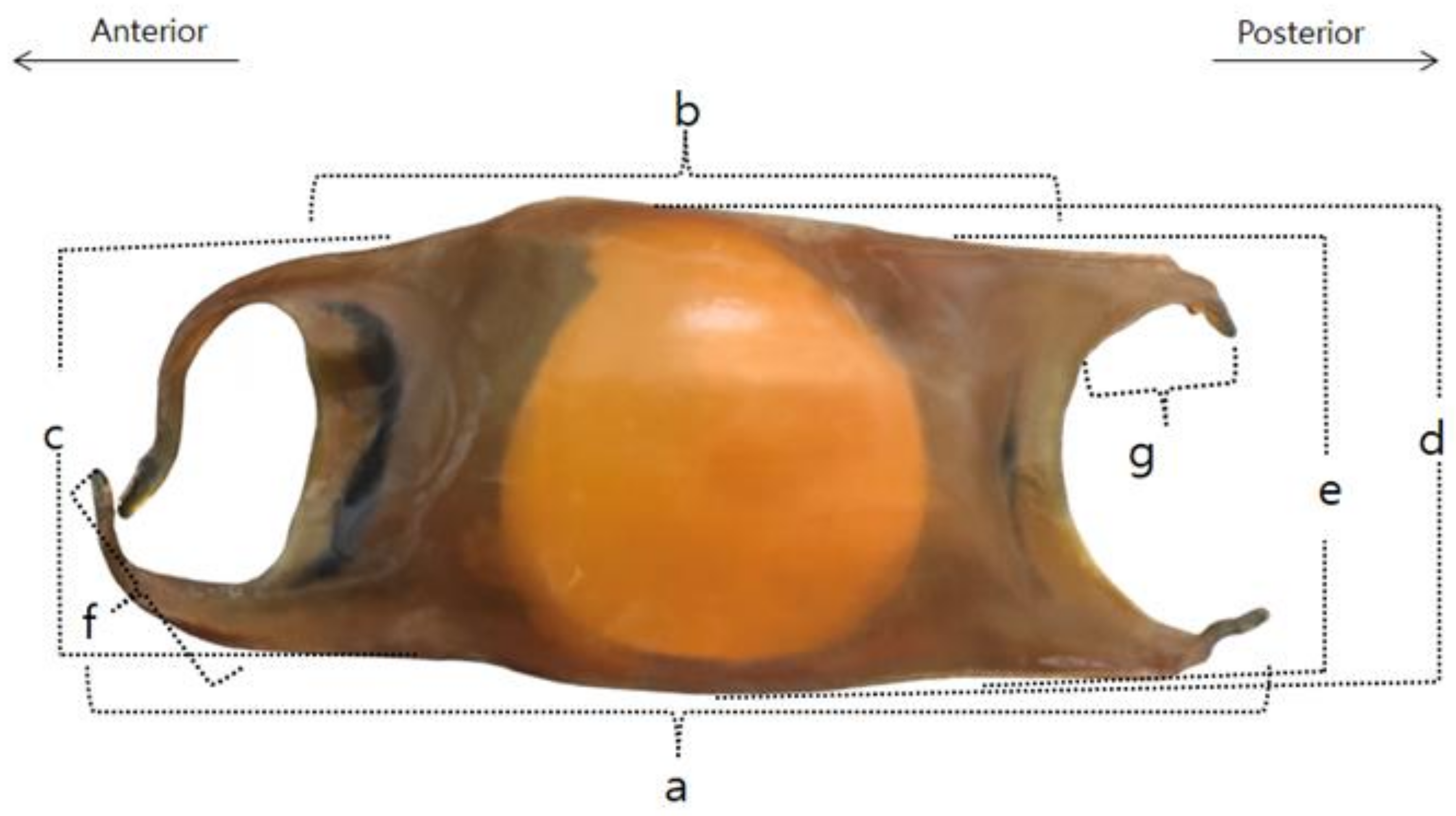 Jmse 10 01067 g008