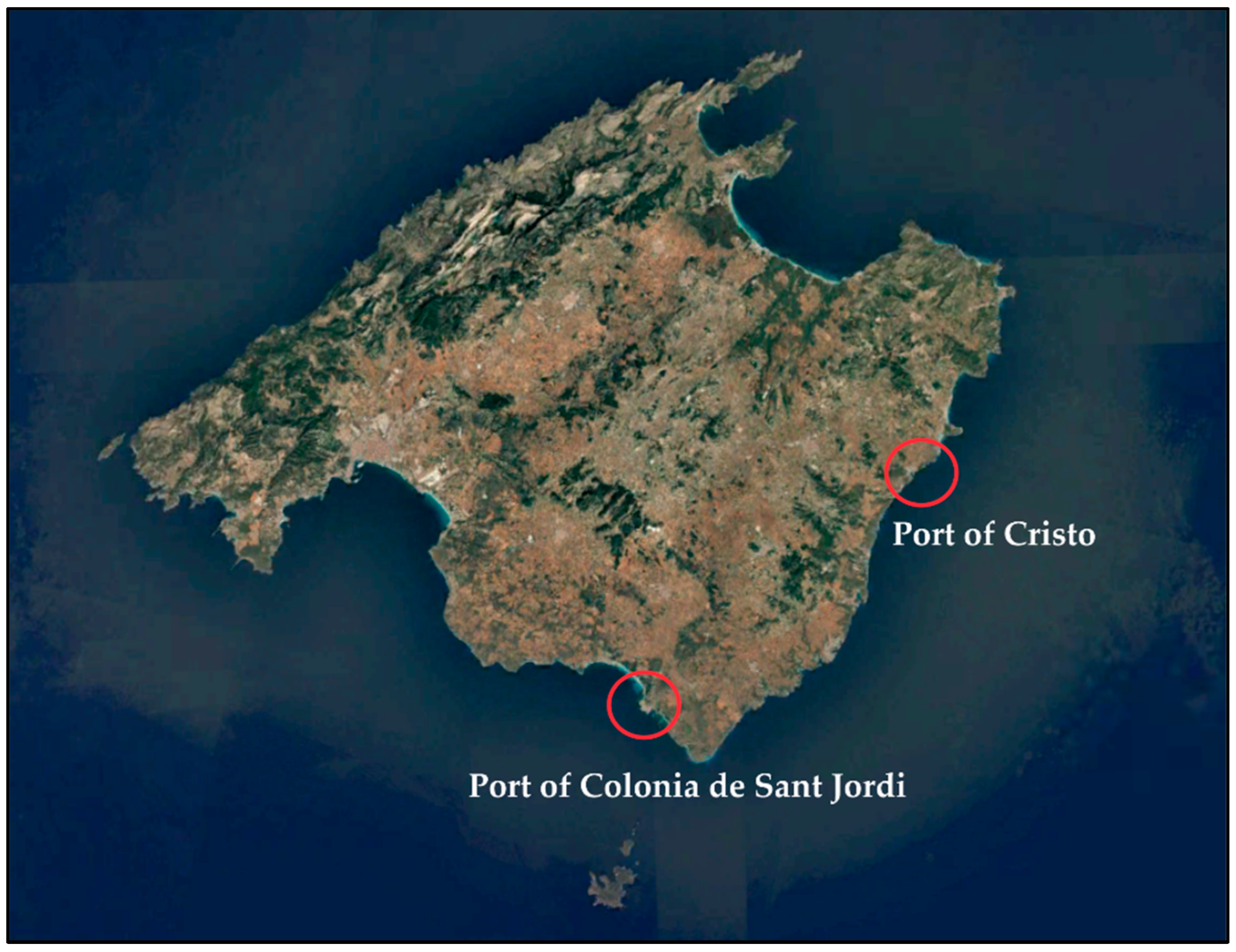 JMSE | Free Full-Text | Composition of Floating Marine Litter in Port Areas  of the Island of Mallorca | HTML