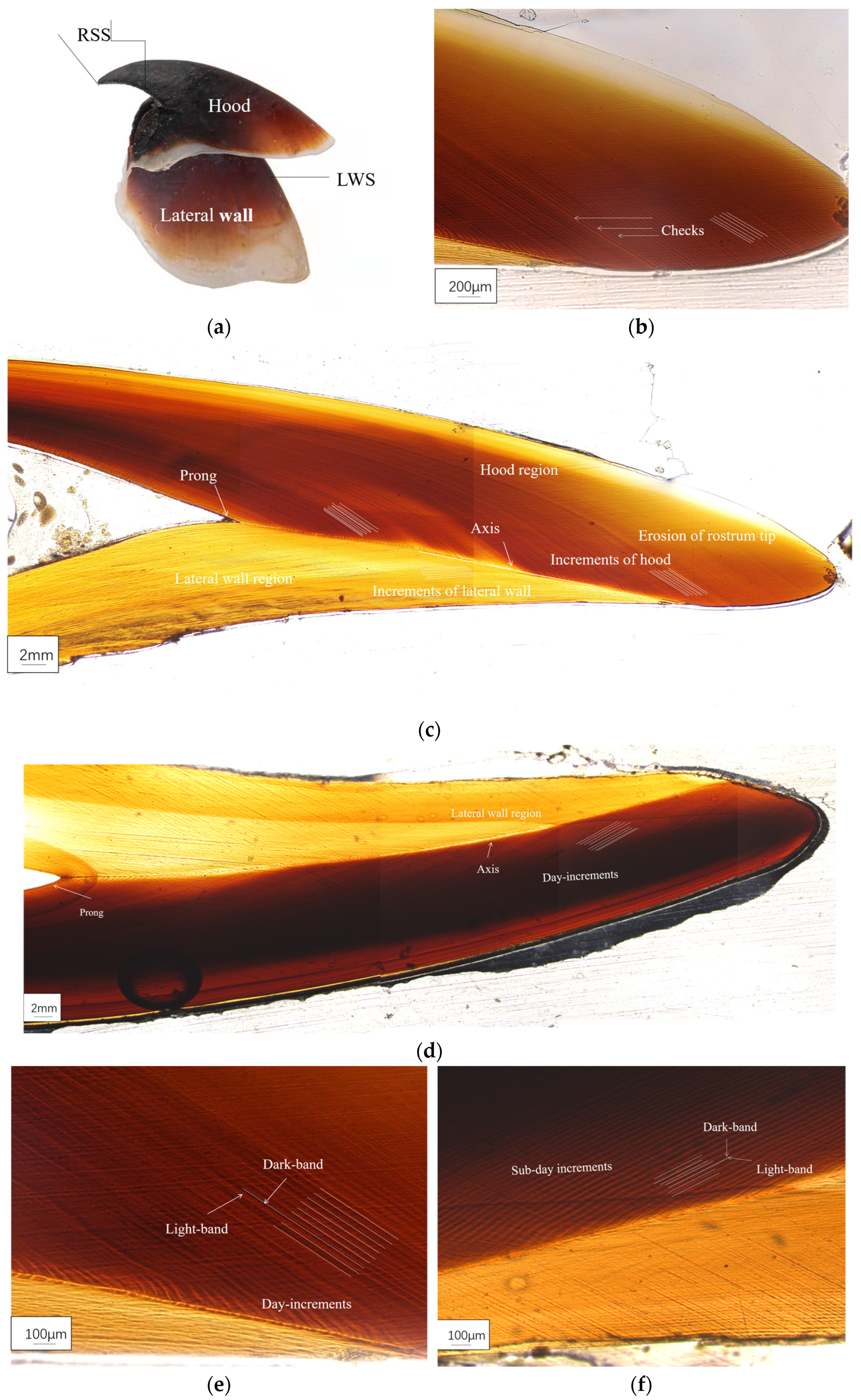 Jmse 10 01094 g004 Jmse 10 01094 g004