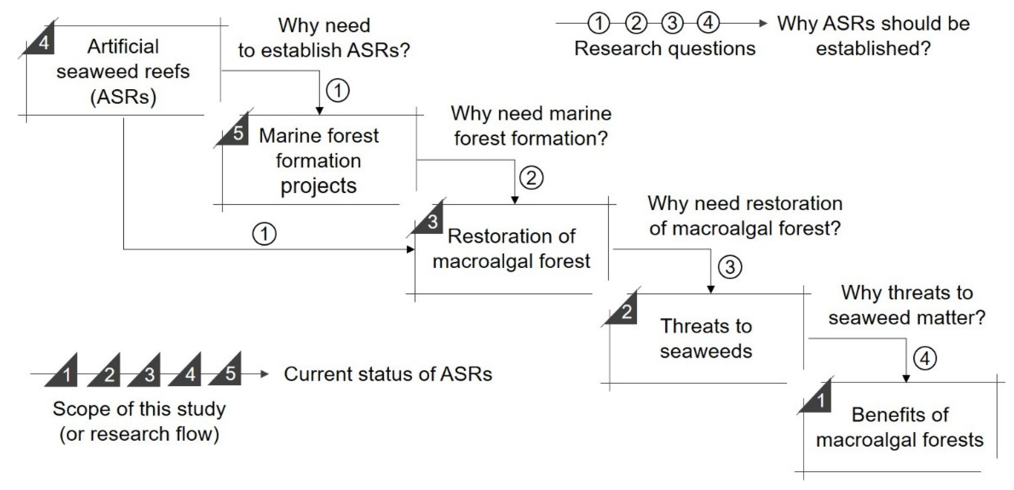 JMSE | Free Full-Text | Artificial Seaweed Reefs That Support the  Establishment of Submerged Aquatic Vegetation Beds and Facilitate Ocean  Macroalgal Afforestation: A Review