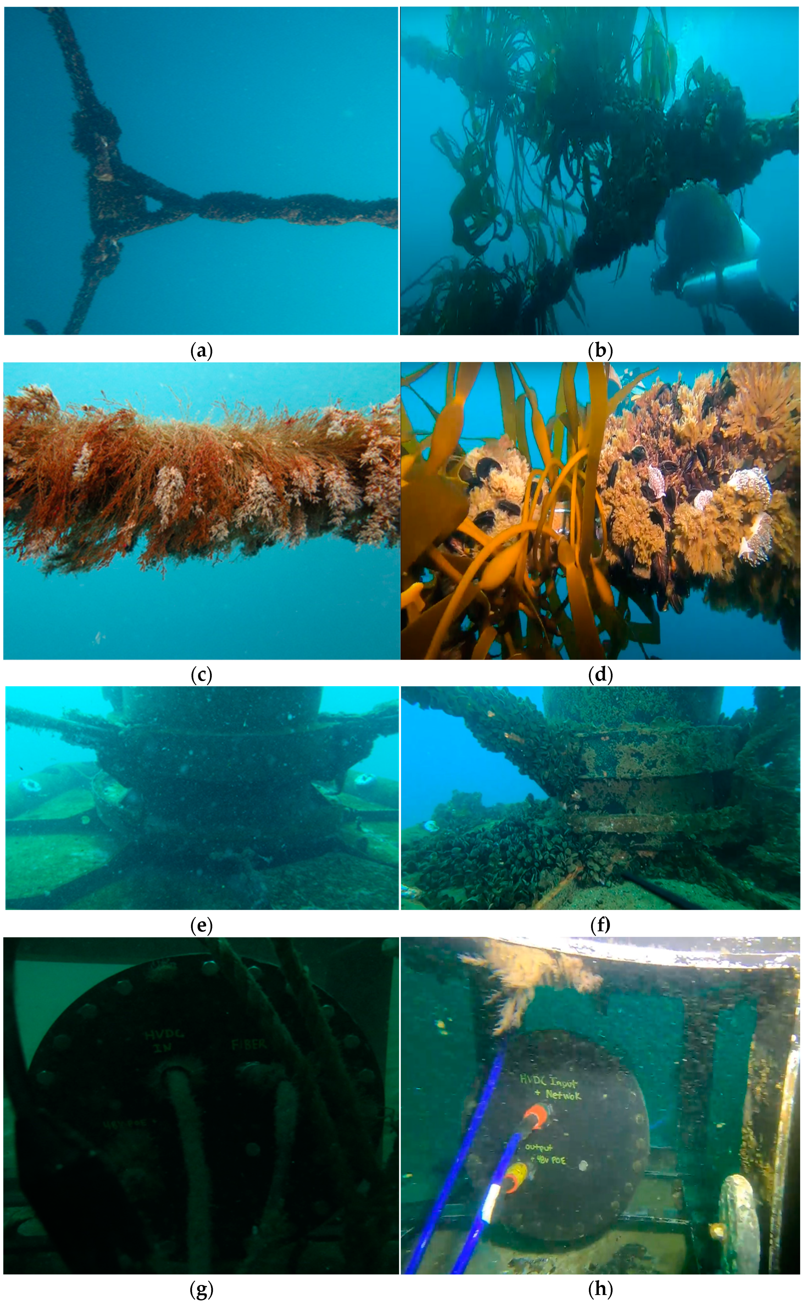 JMSE | Free Full-Text | Open Sea Lab: An integrated Coastal Ocean  Observatory Powered by Wave Energy