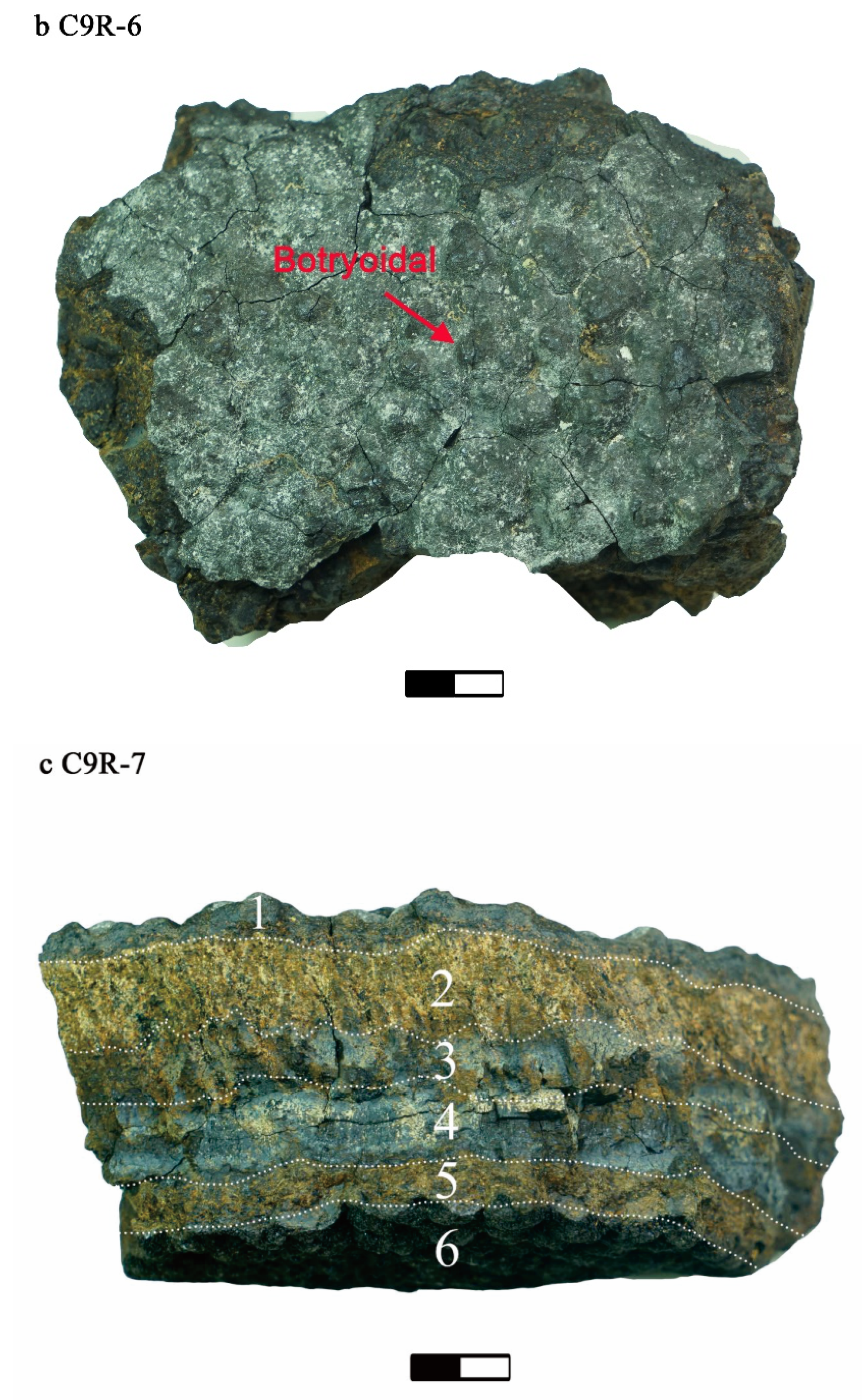 Jmse 10 01275 g002b