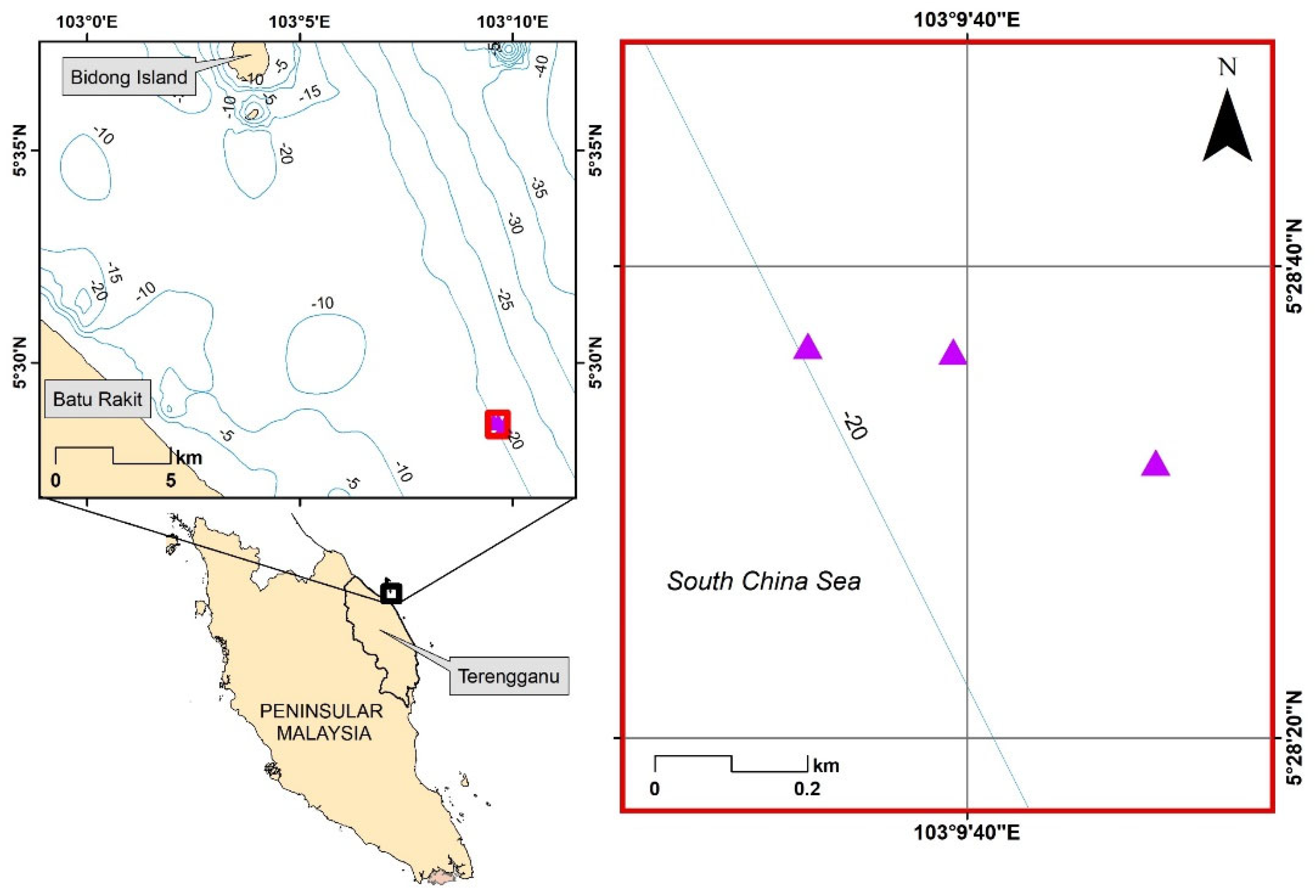 JMSE | Free Full-Text | Side-Scan Sonar Coupled with Scuba Diving  Observation for Enhanced Monitoring of Benthic Artificial Reefs along the  Coast of Terengganu, Peninsular Malaysia