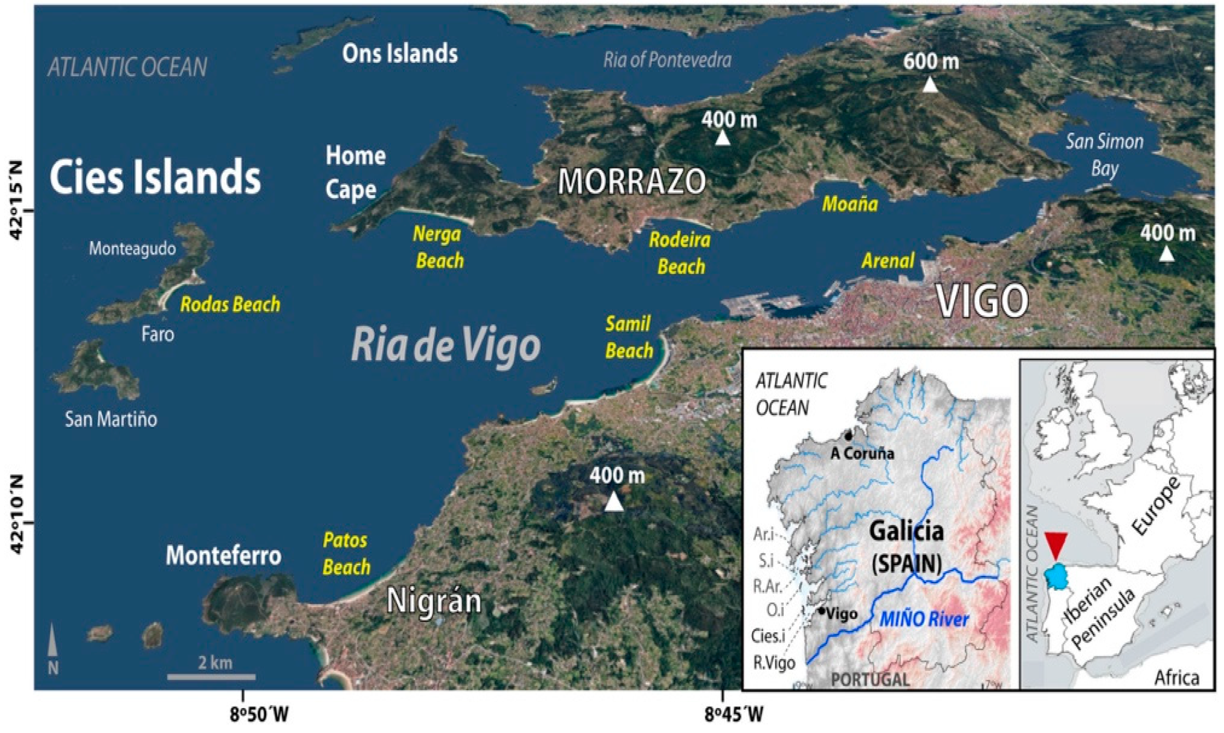 JMSE | Free Full-Text | New Model of Coastal Evolution in the Ria de Vigo  (NW Spain) from MIS2 to Present Day Based on the Aeolian Sedimentary Record