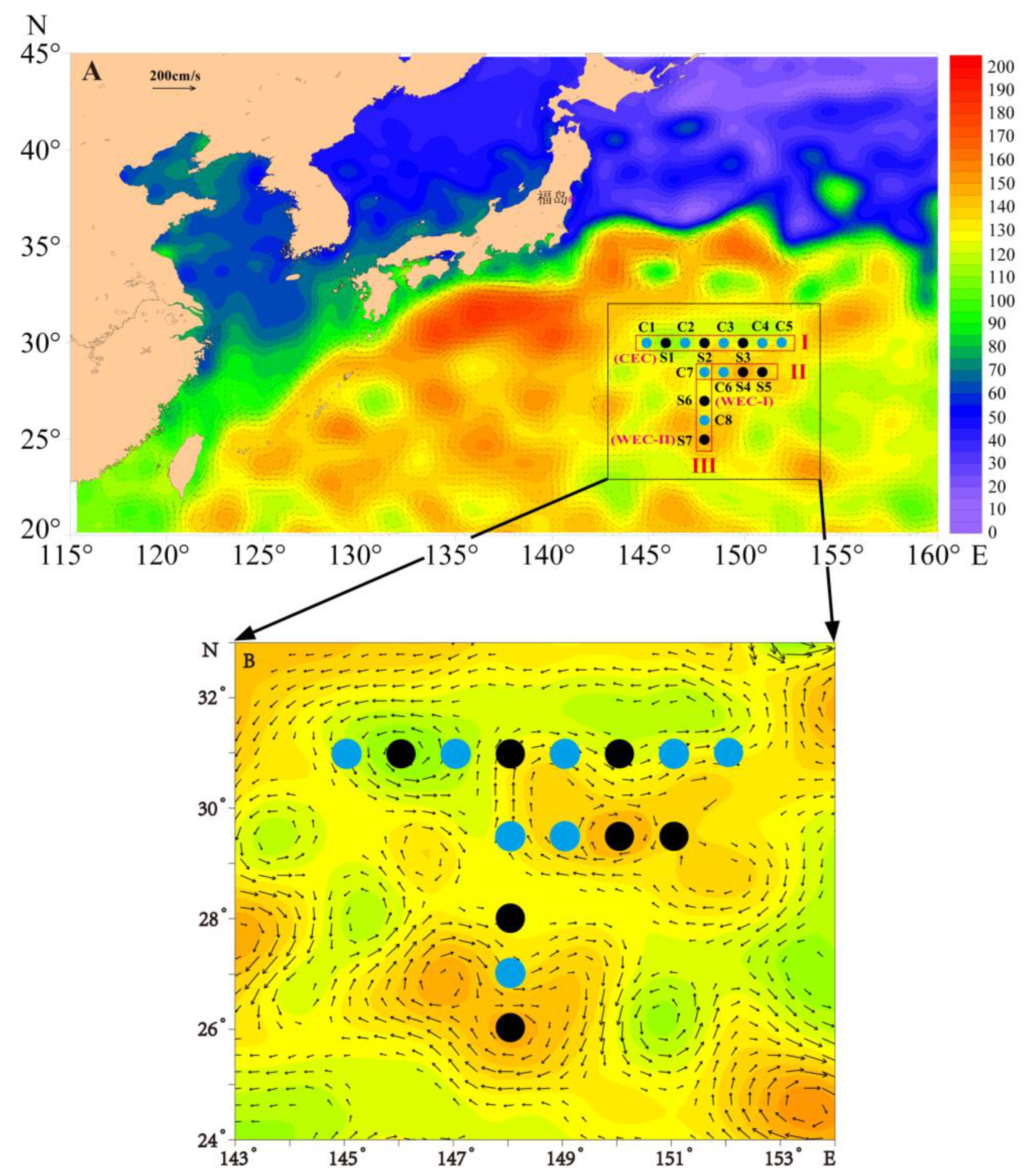 The pelagic realm. Descending stratifications of the pelagic