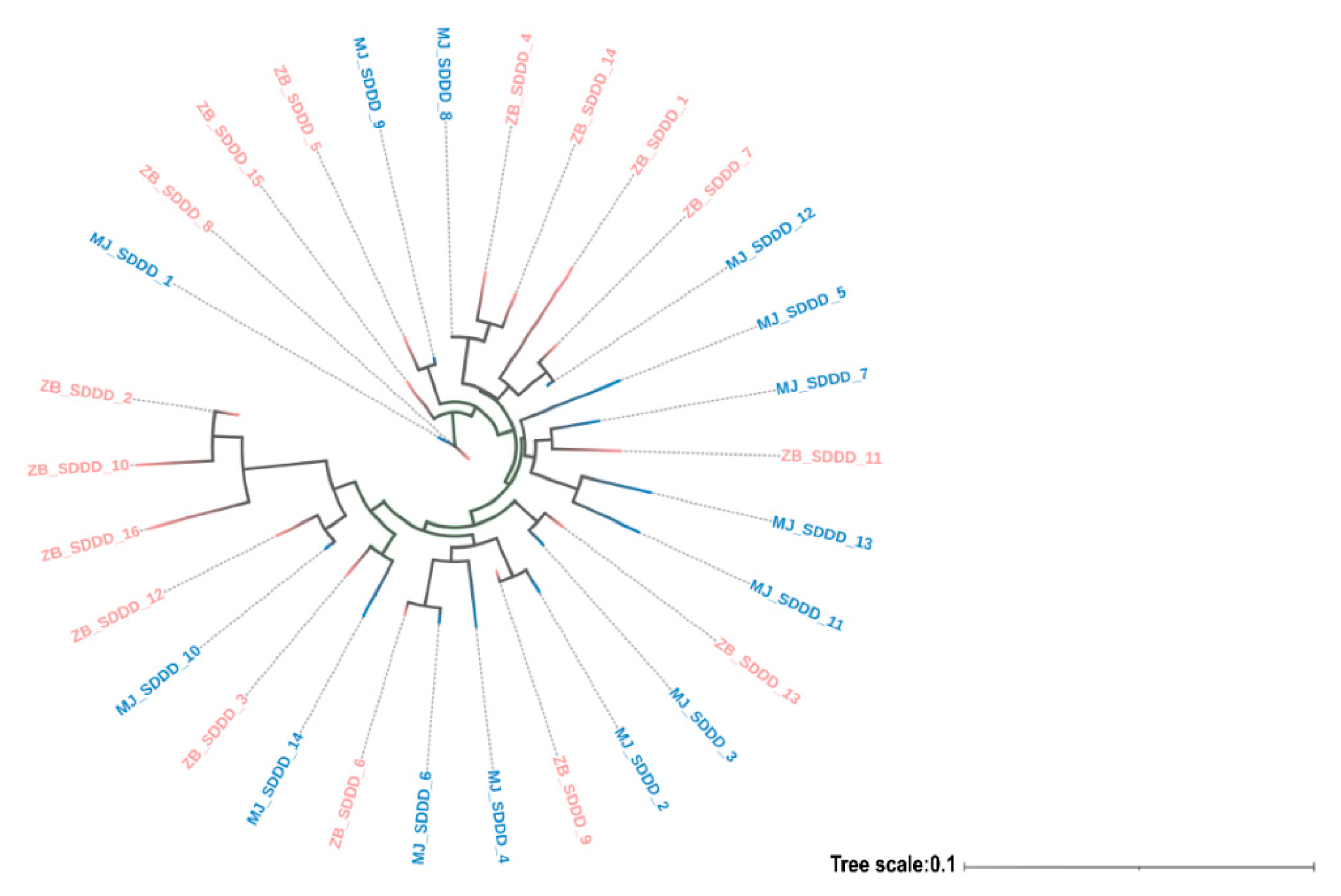 Jmse 10 01547 g004 Jmse 10 01547 g004