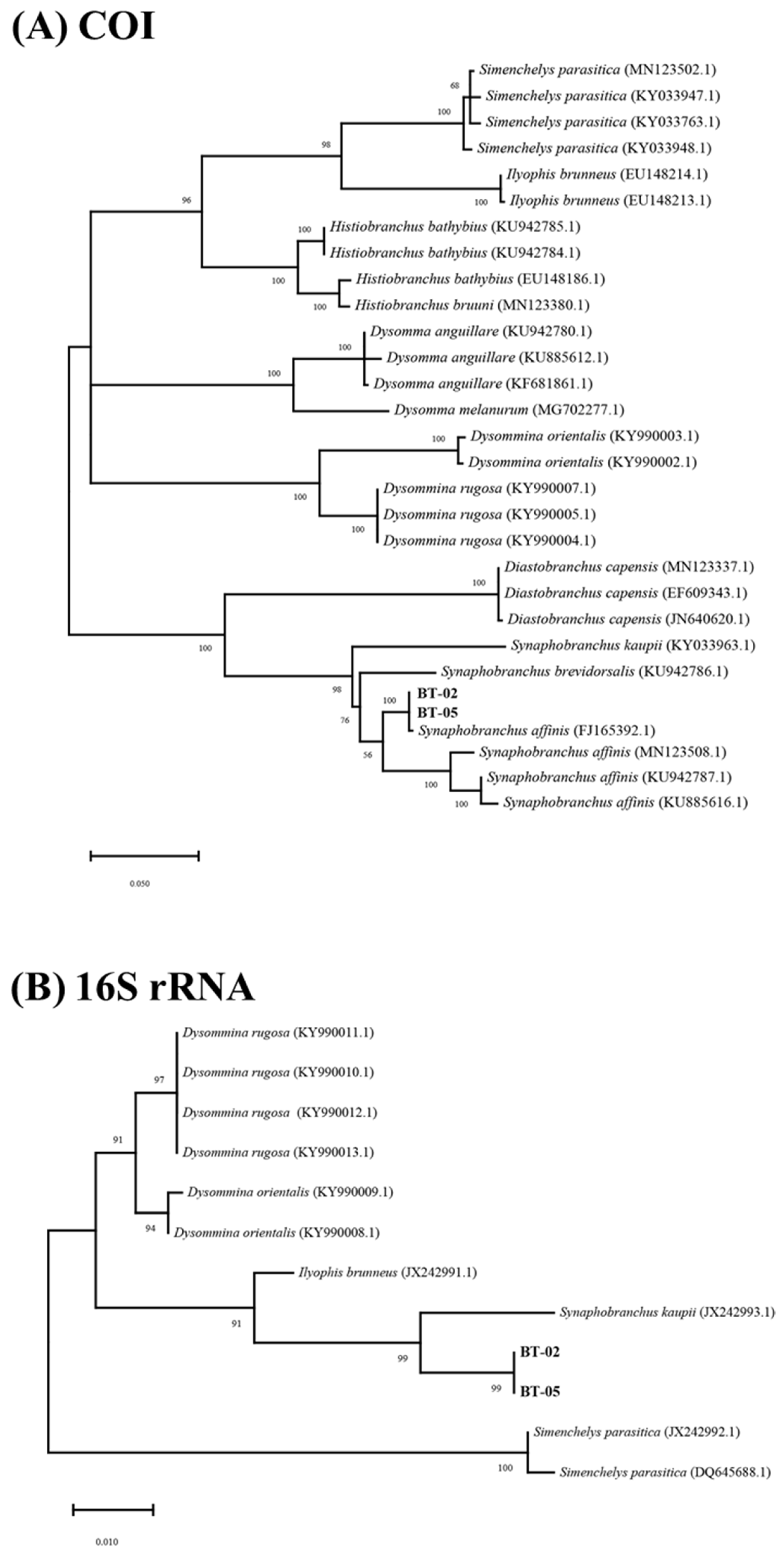 Jmse 10 01567 g004 Jmse 10 01567 g004