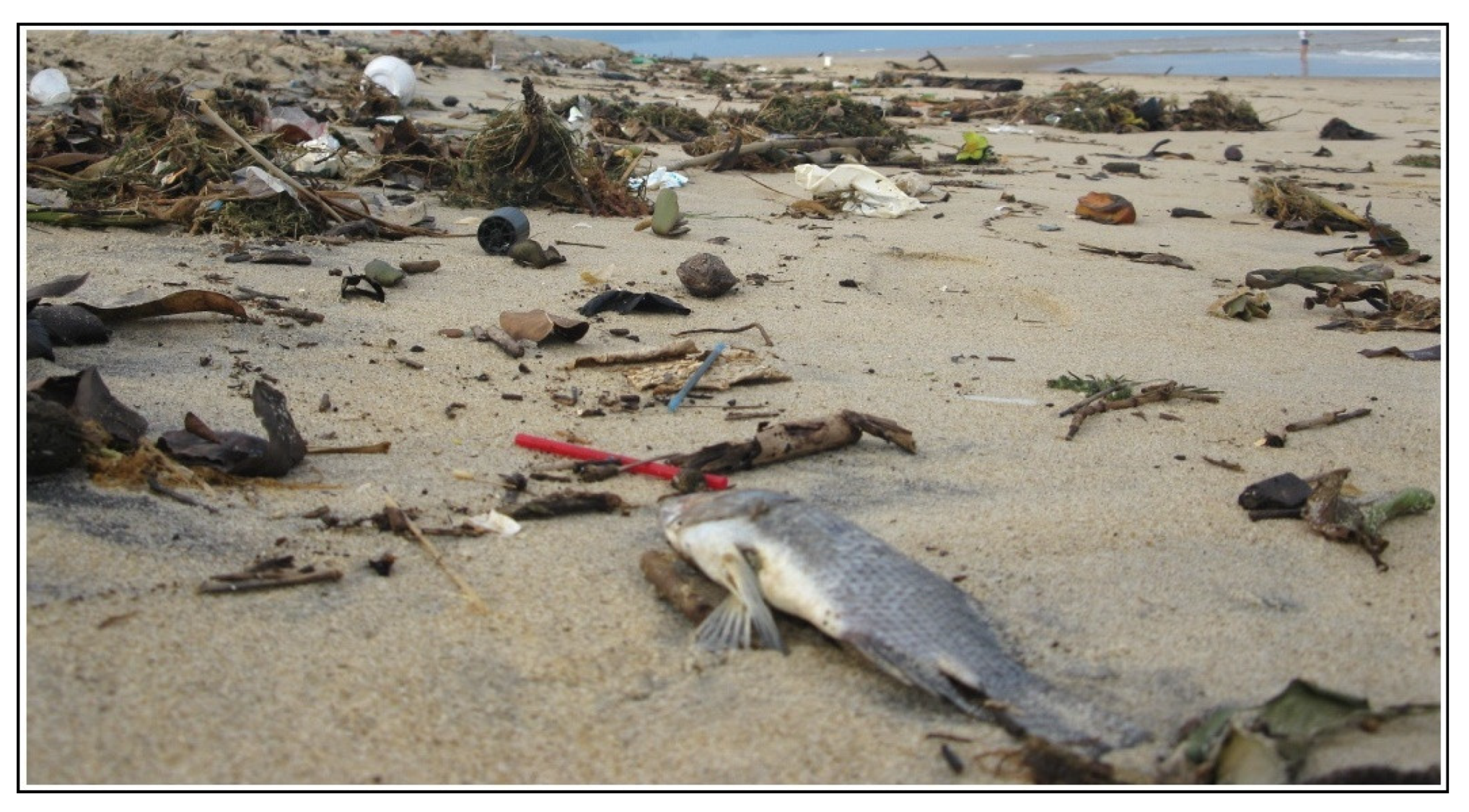 Jmse 10 01585 g010 Jmse 10 01585 g010