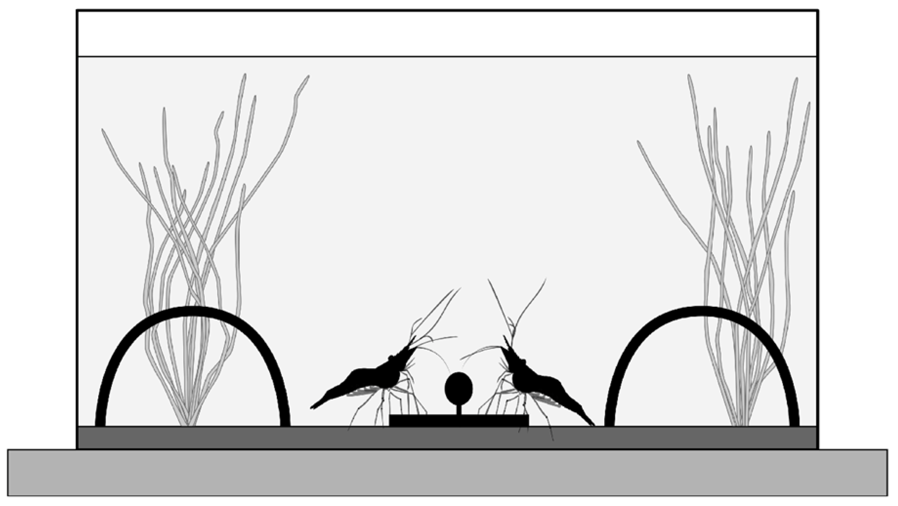 Jmse 10 01593 g001 Jmse 10 01593 g001