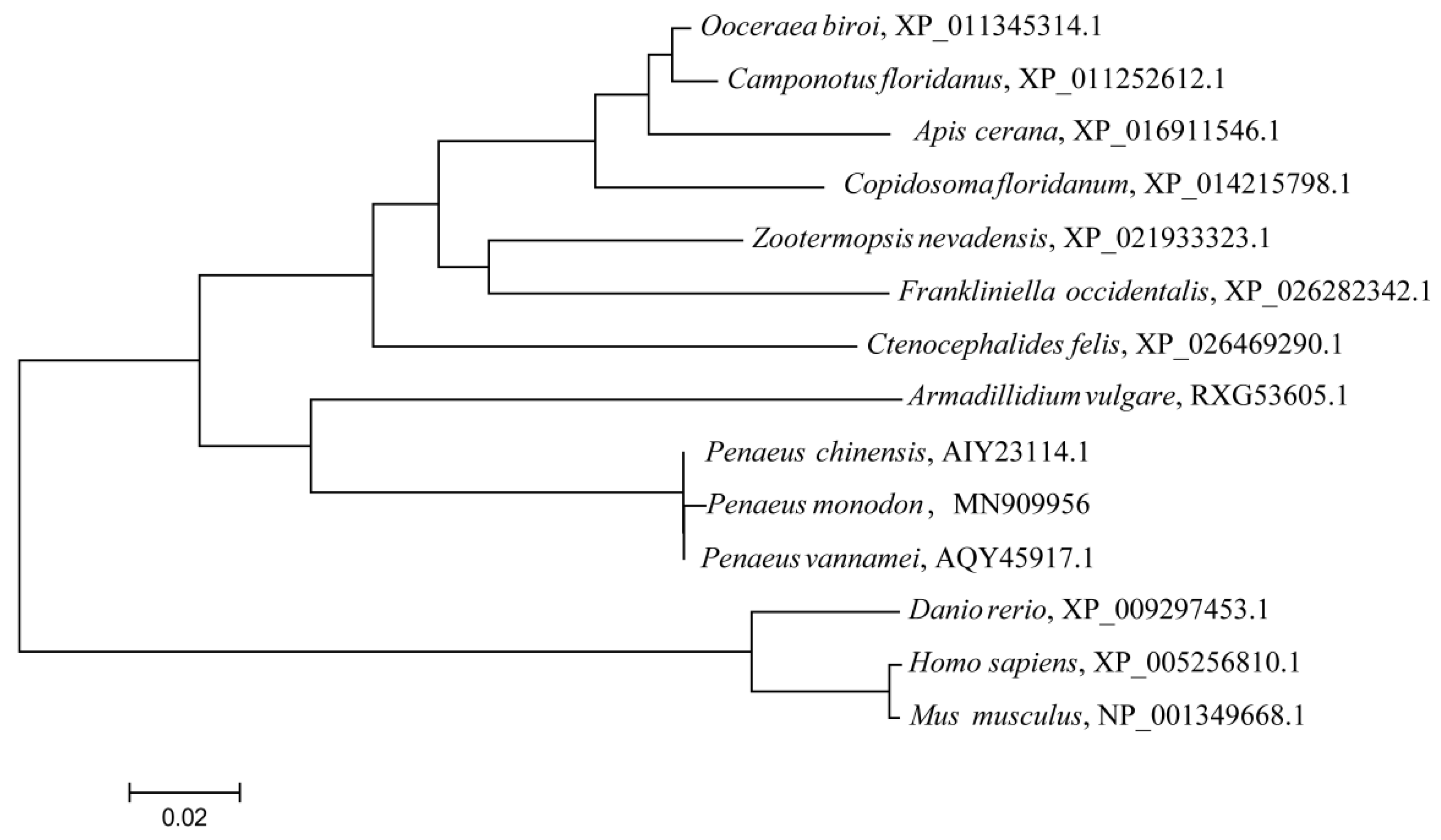 Jmse 10 01642 g003 Jmse 10 01642 g003