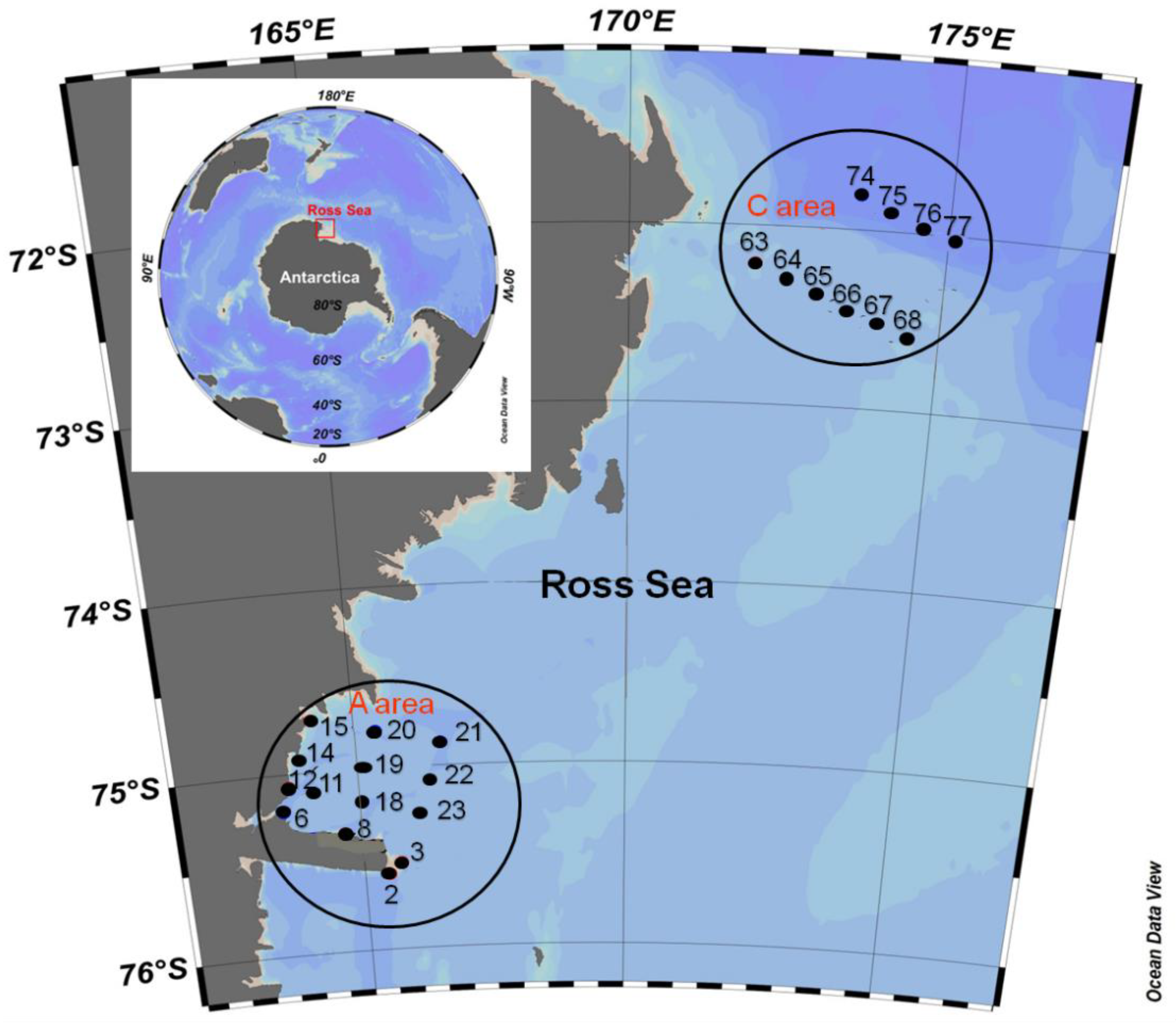 JMSE | Free Full-Text | Trophic and Microbial Patterns in the Ross