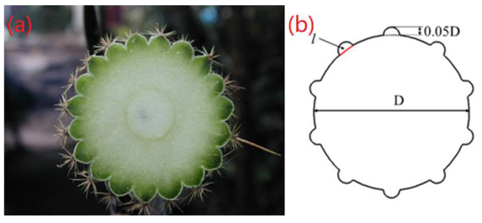 Jmse 10 01785 g001 Jmse 10 01785 g001
