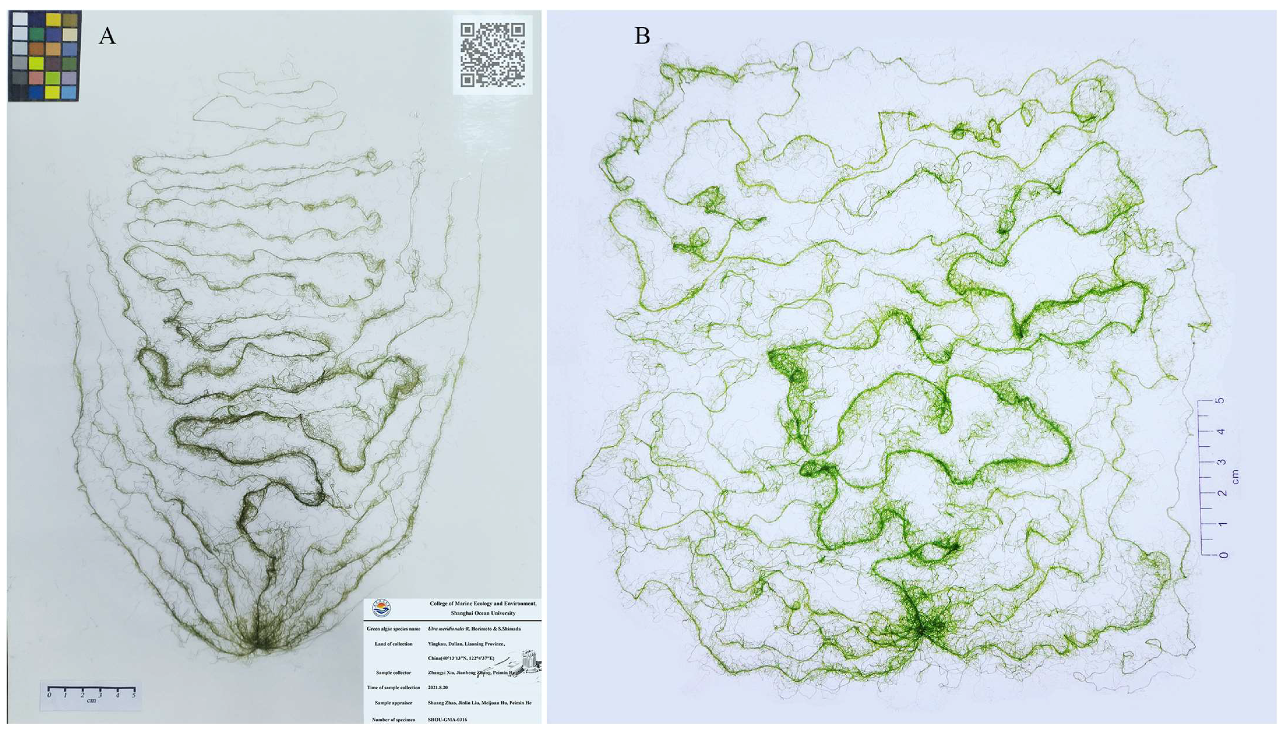 Jmse 10 01873 g002 Jmse 10 01873 g002