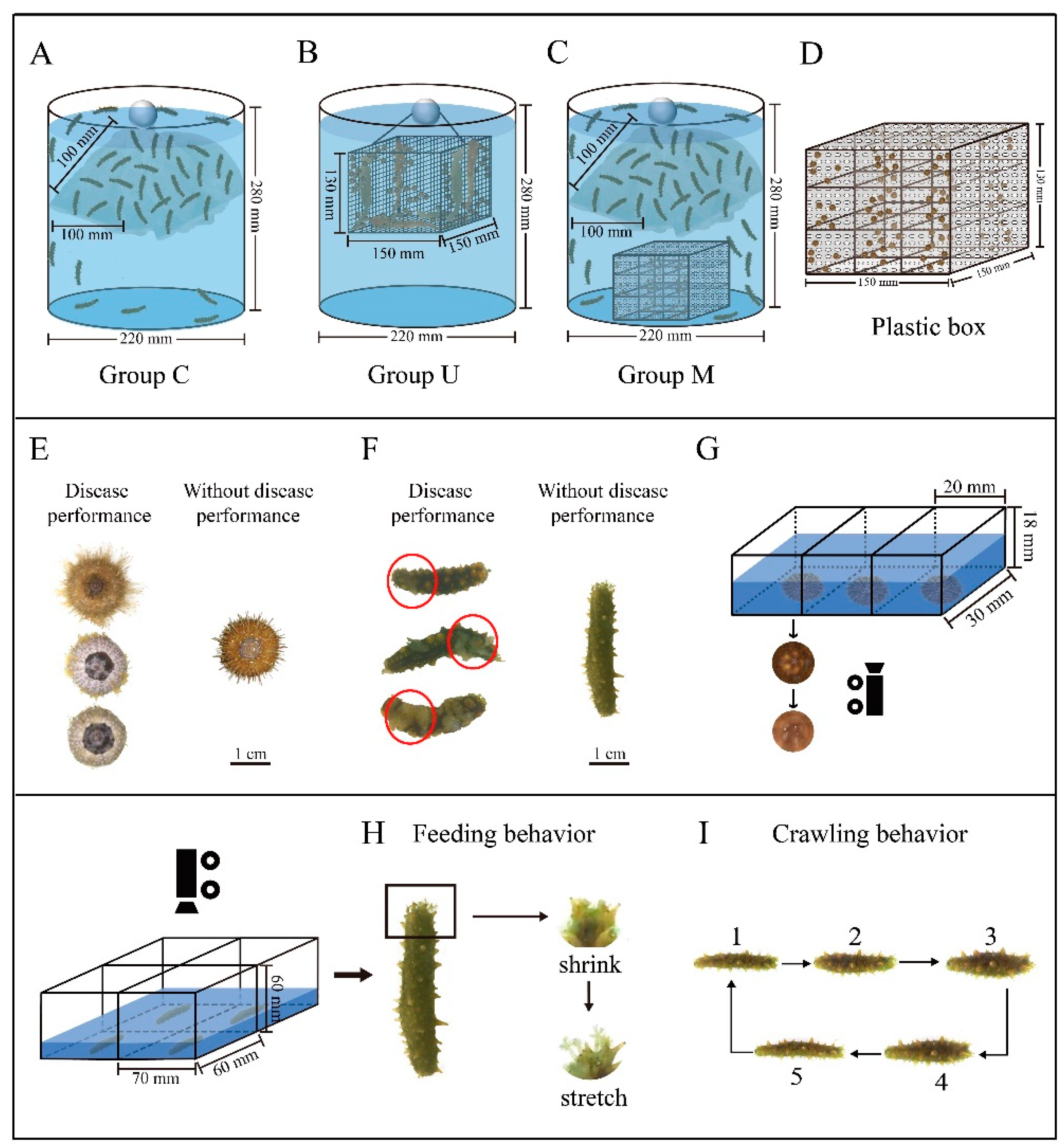 Jmse 10 01875 g001 Jmse 10 01875 g001