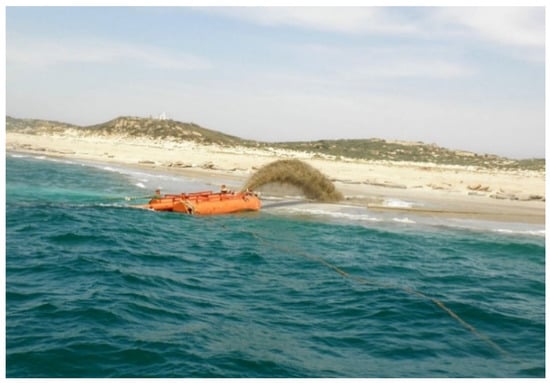 10 Best Boat Sponges for 2024 - The Jerusalem Post