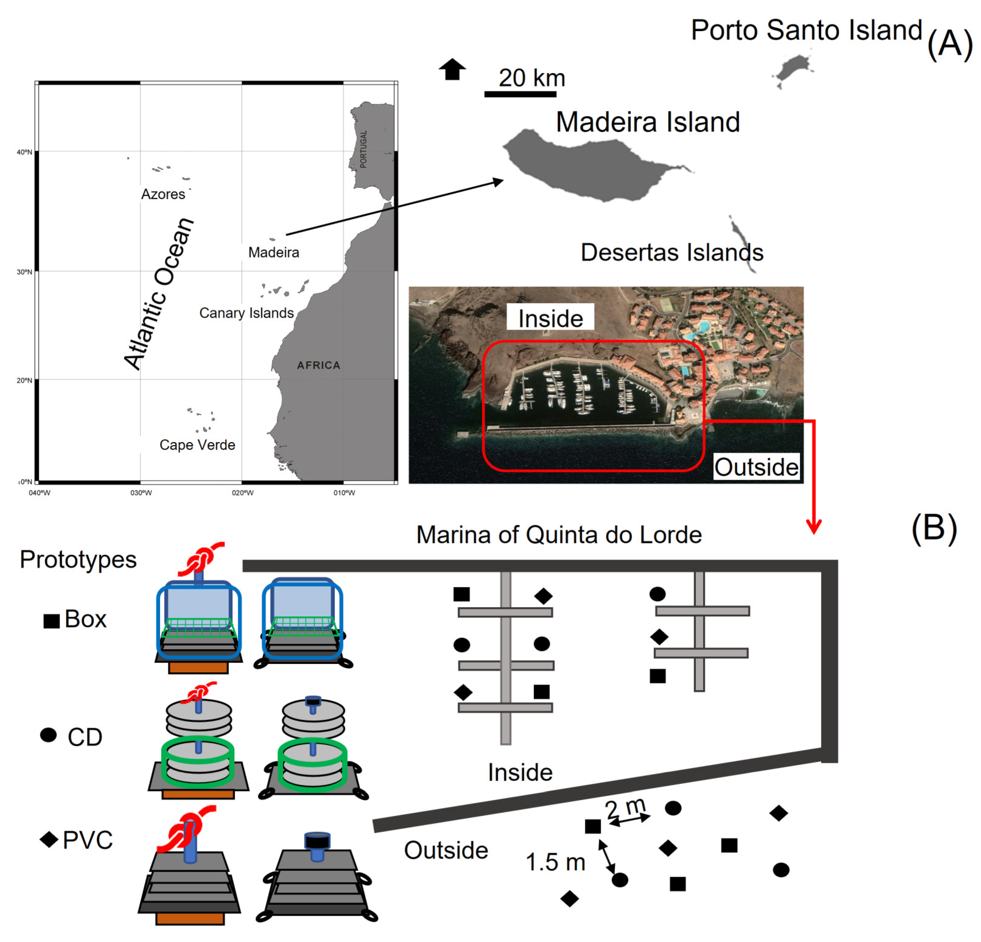 Jmse 11 00264 g001 Jmse 11 00264 g001