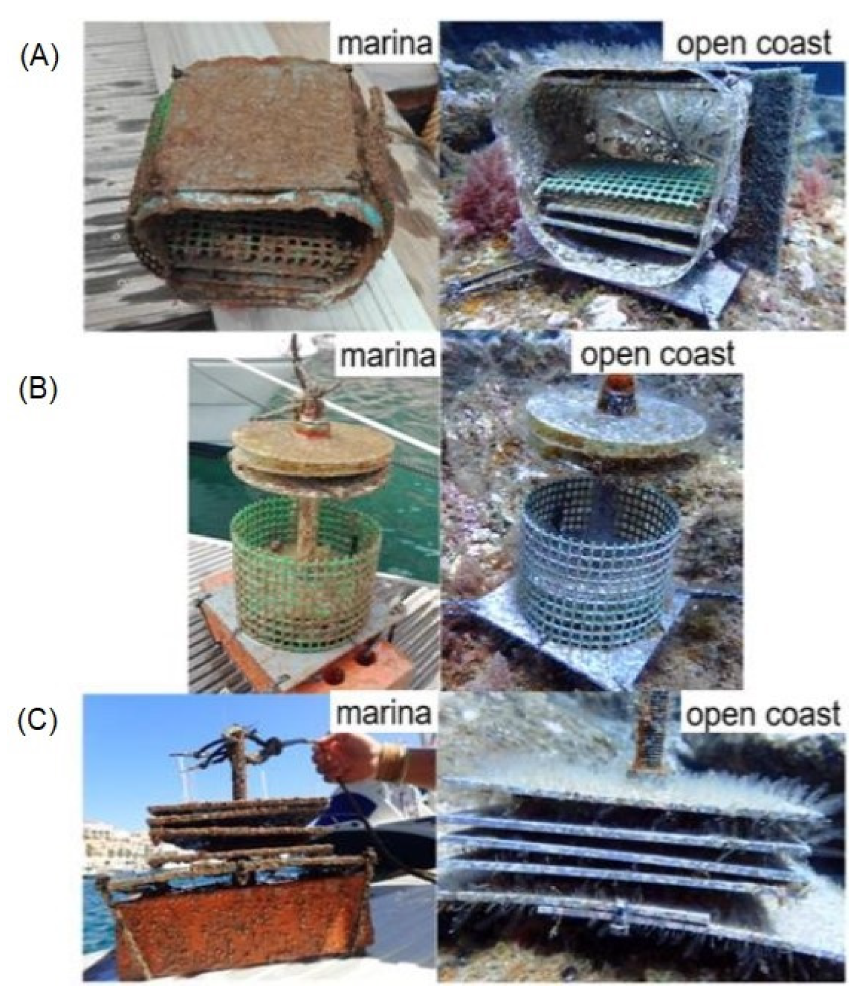 Jmse 11 00264 g002 Jmse 11 00264 g002