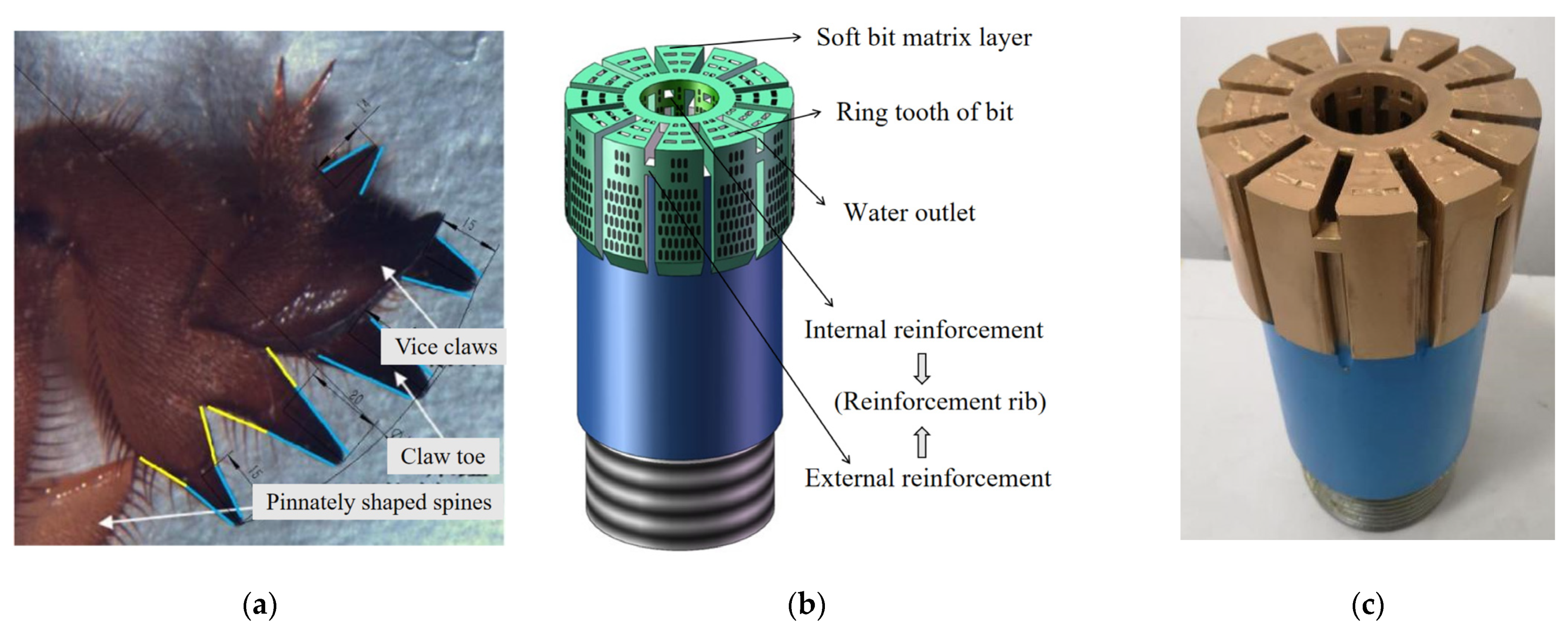 Jmse 11 00306 g010 Jmse 11 00306 g010
