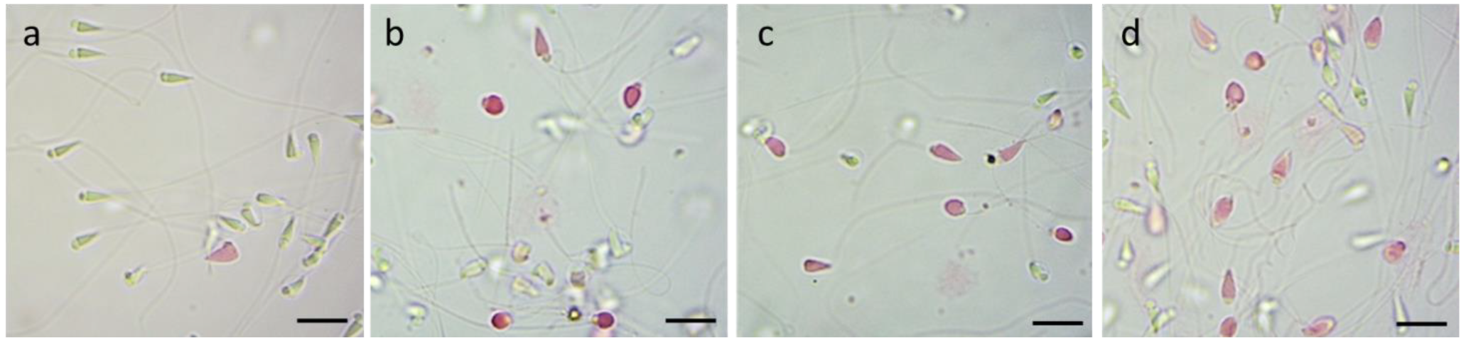 Jmse 11 00380 g004