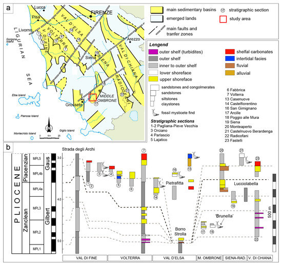 JMSE Free Full Text Age and Depositional Environment of Whale